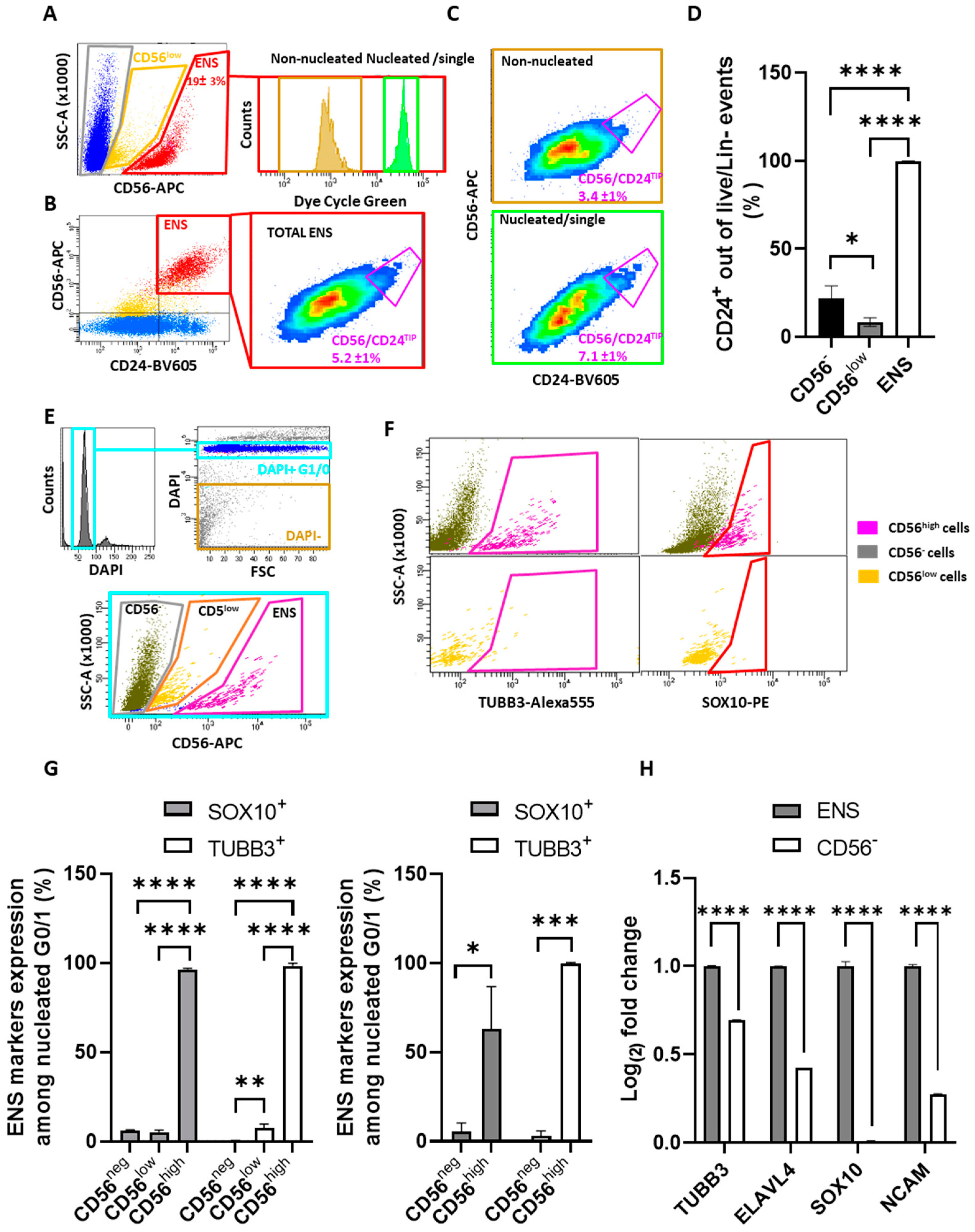 Preprints 151879 g004