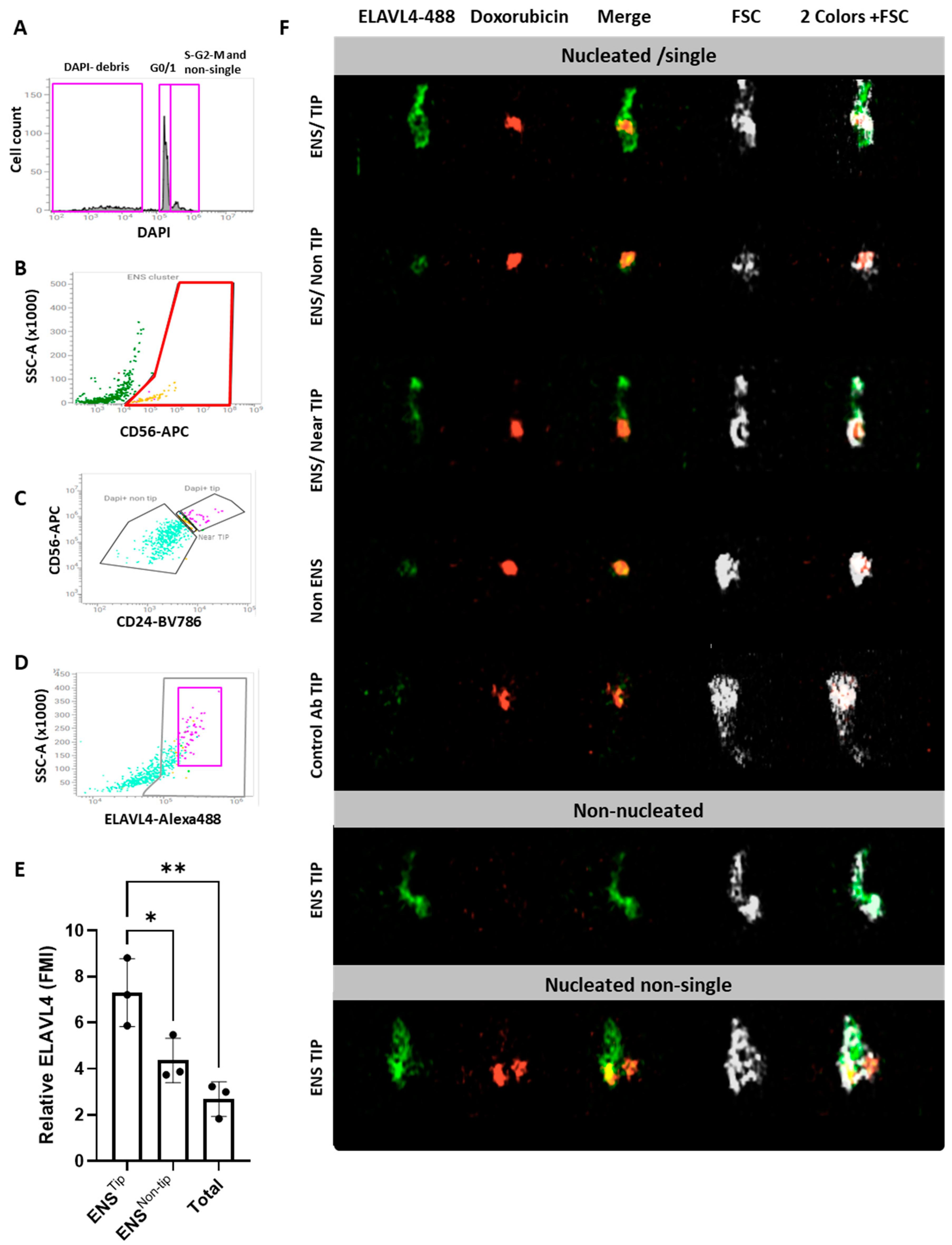 Preprints 151879 g005