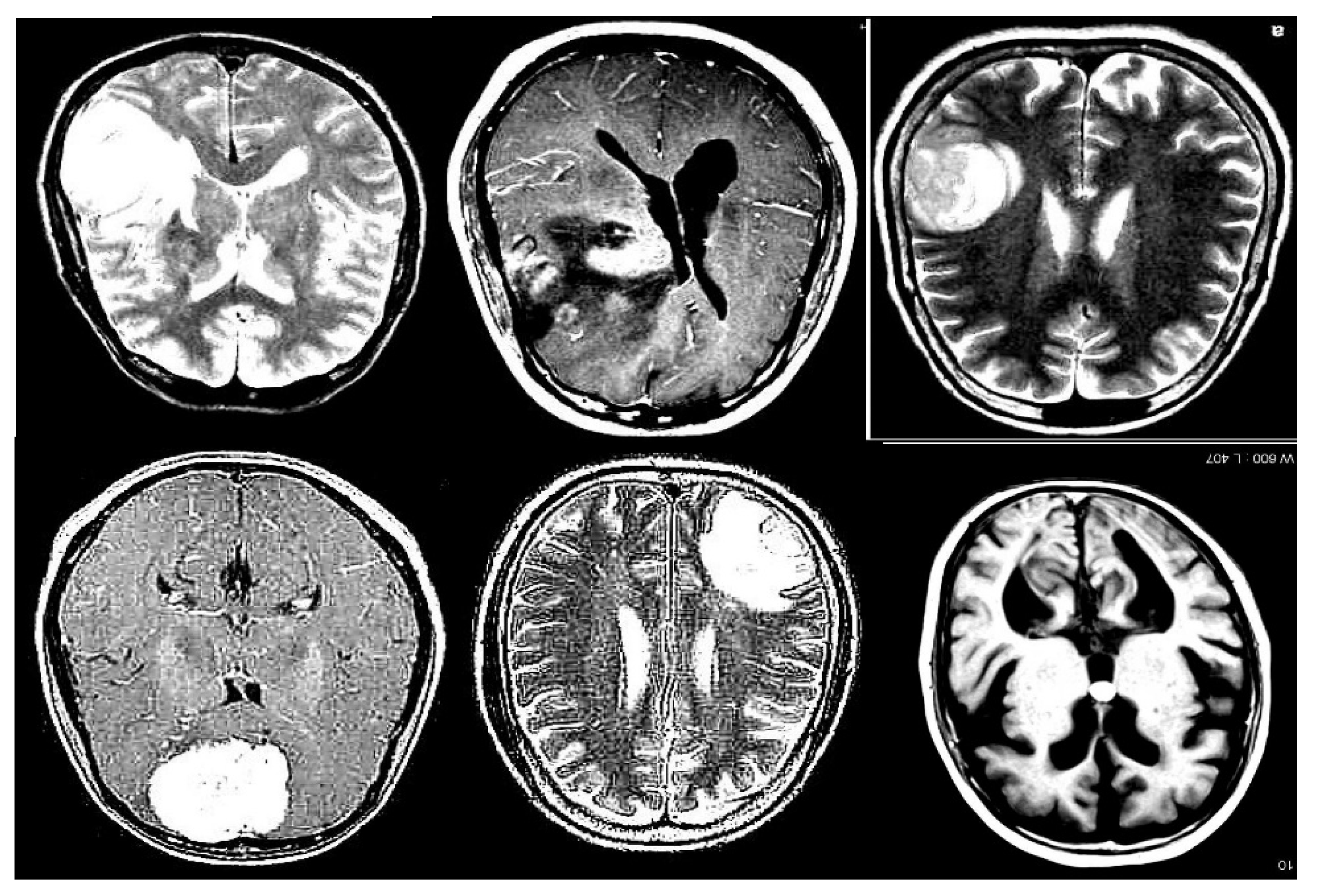 Preprints 149624 g002