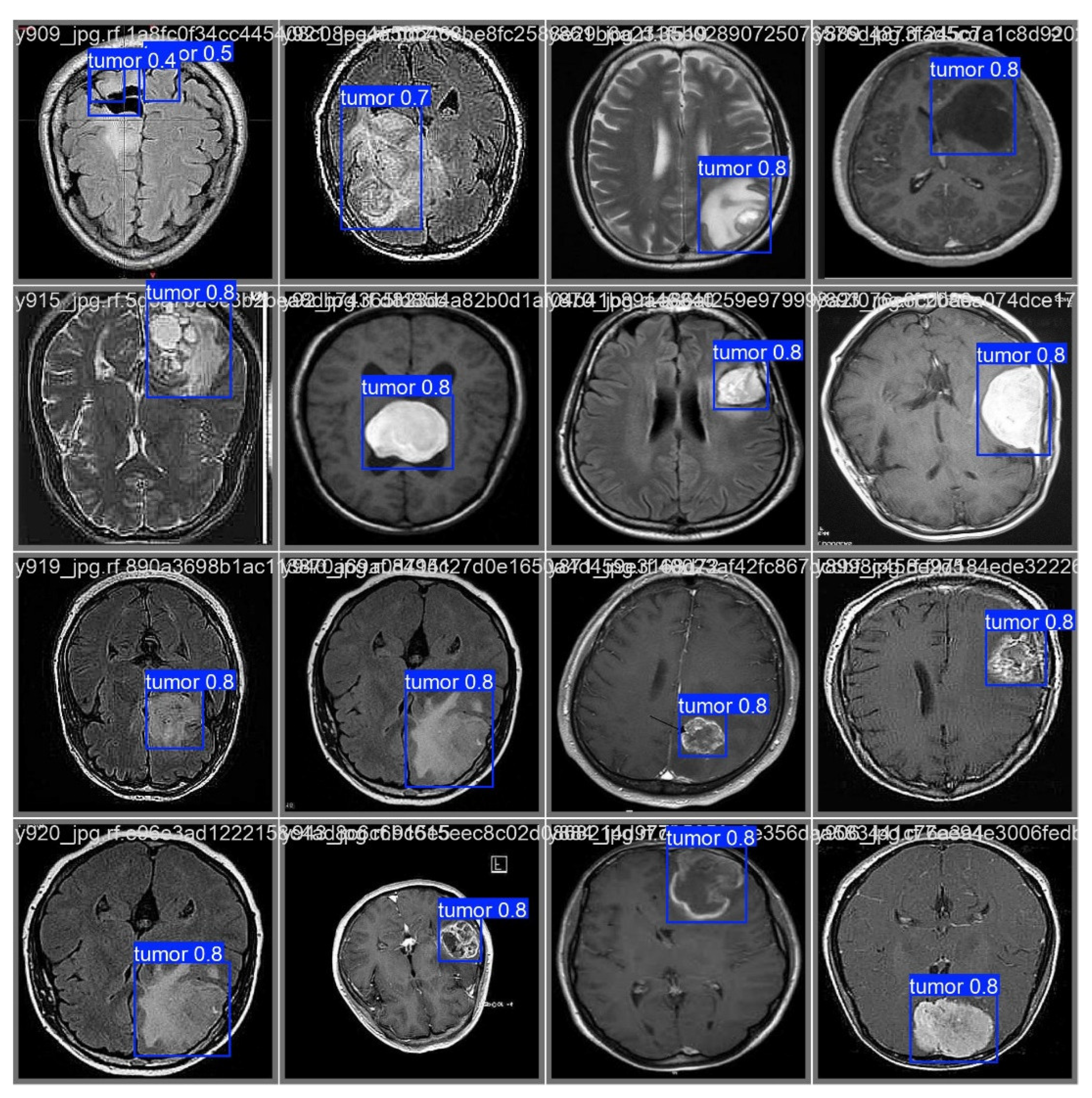 Preprints 149624 g006