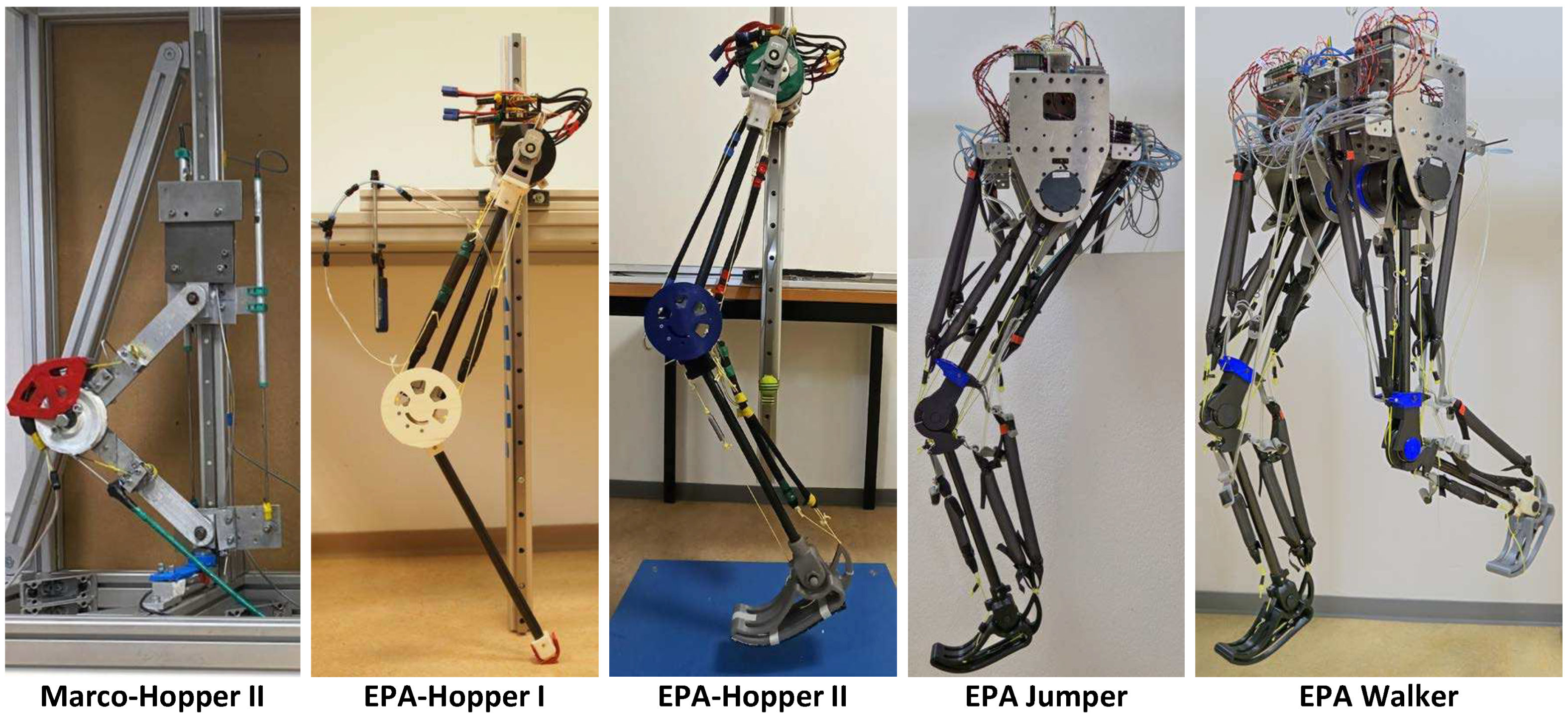 Preprints 98032 g001