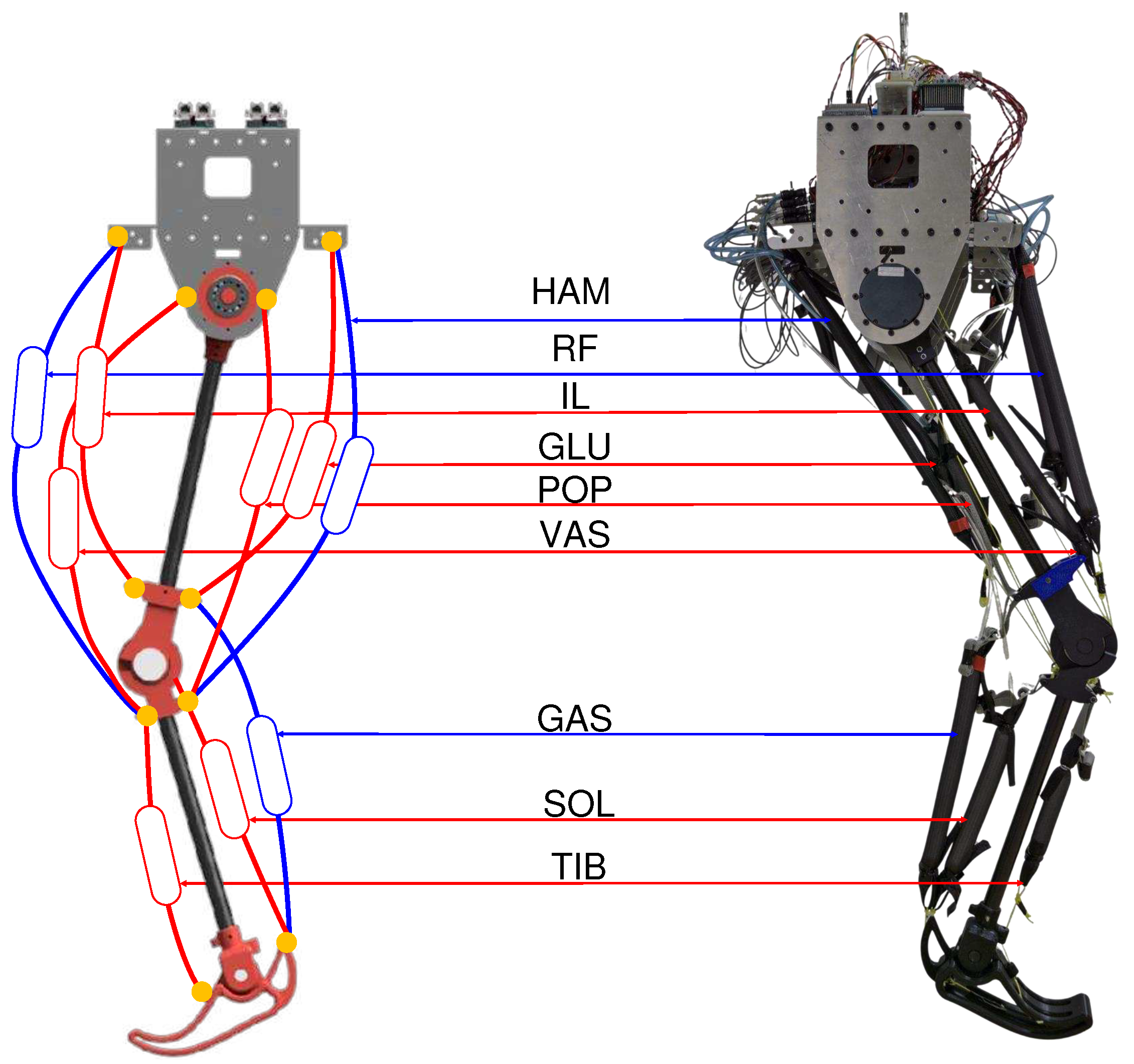 Preprints 98032 g004