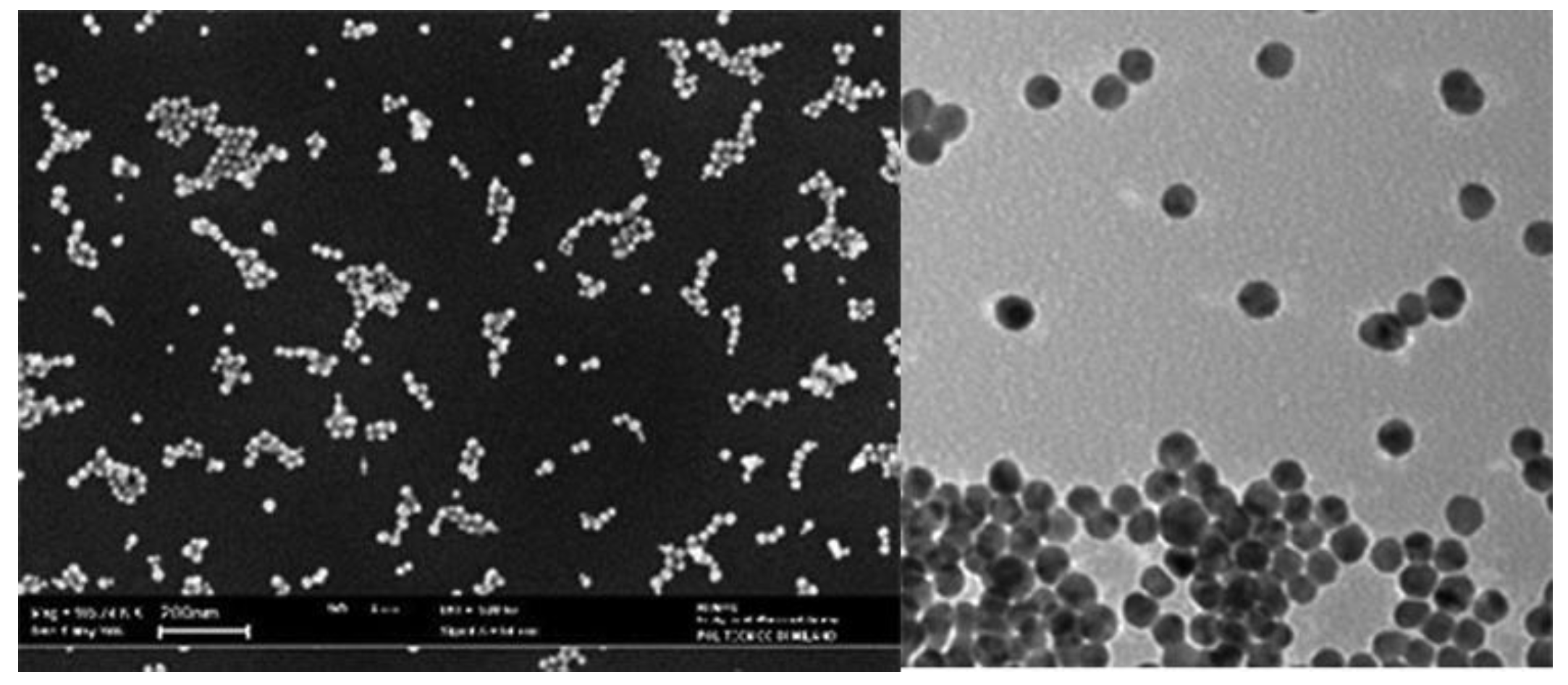 Preprints 142697 g001