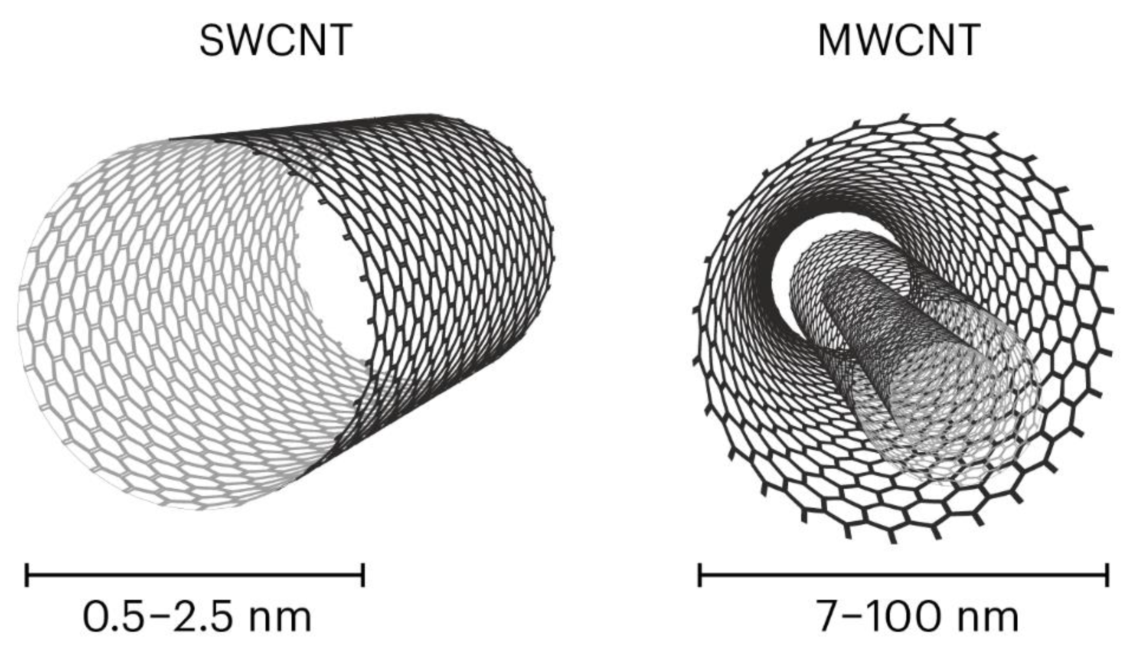 Preprints 142697 g003