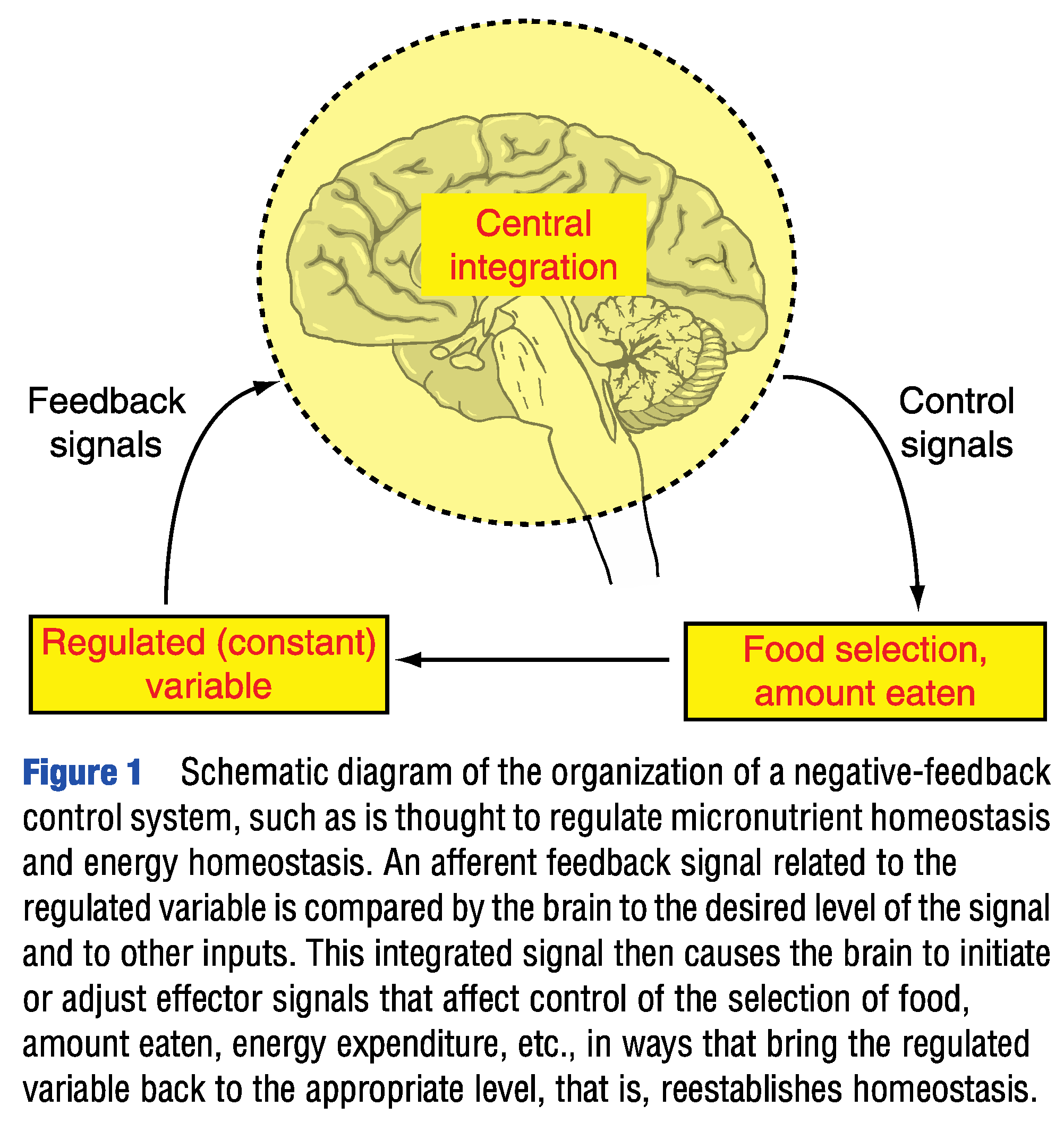 Preprints 191147 g001