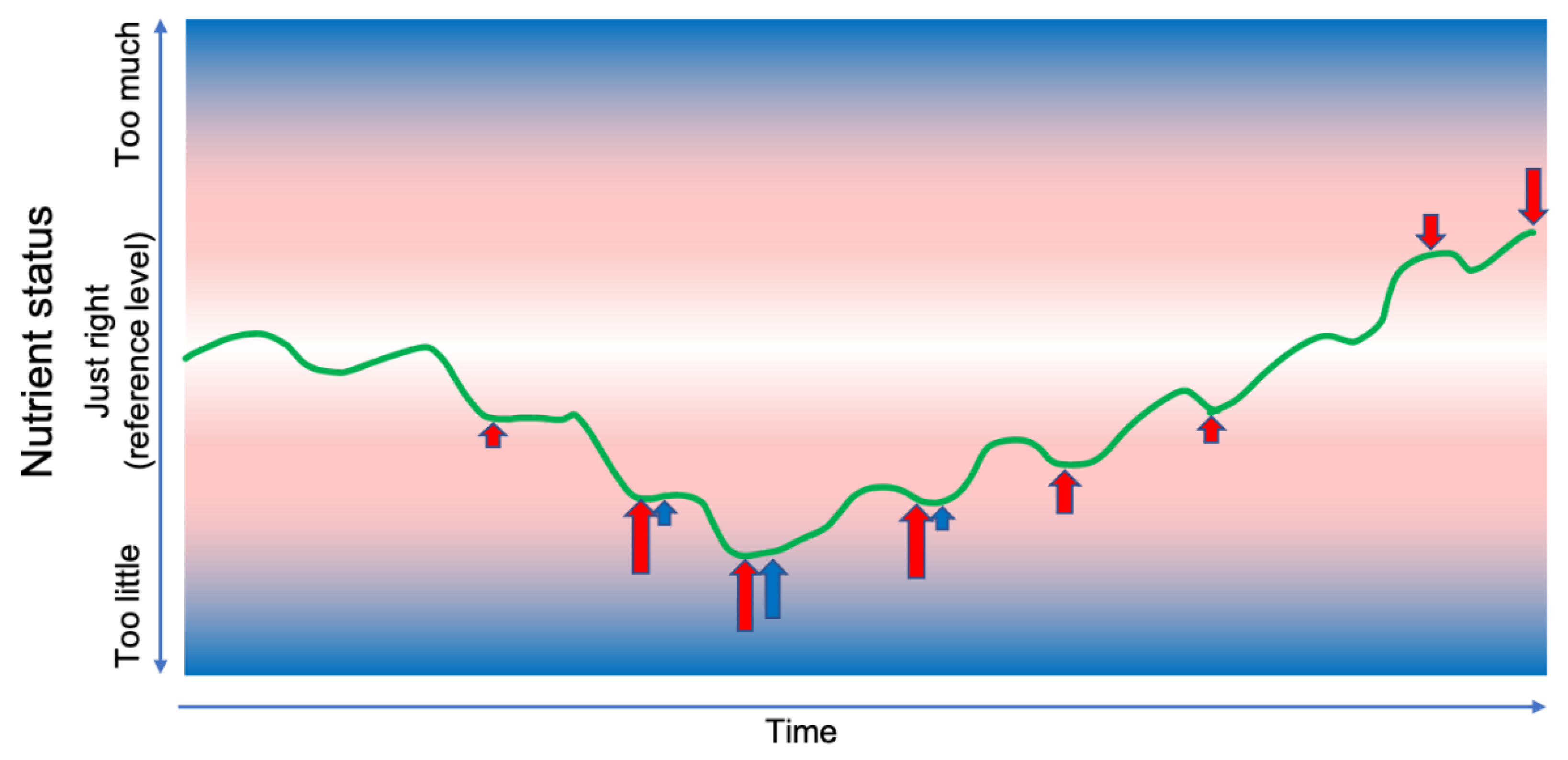 Preprints 191147 g003