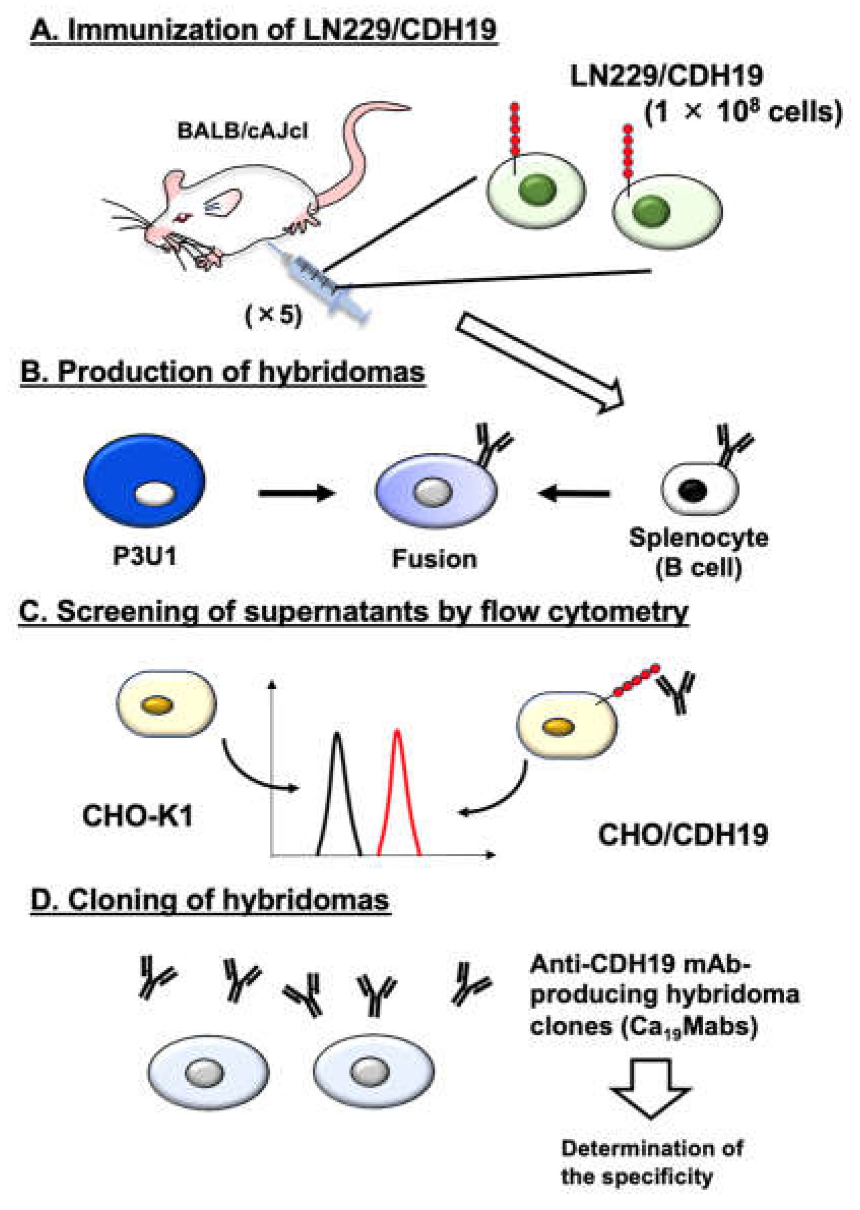 Preprints 199094 g001