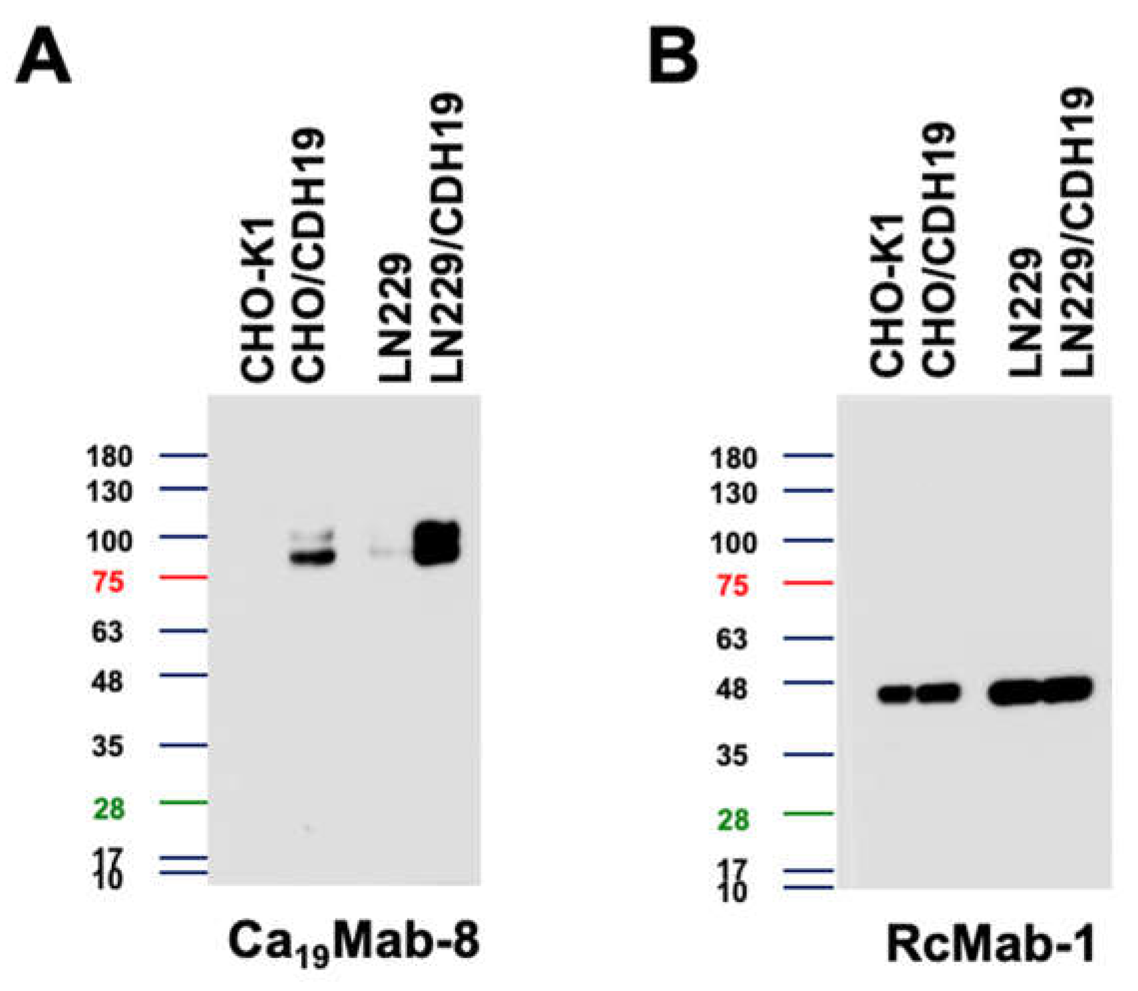 Preprints 199094 g004