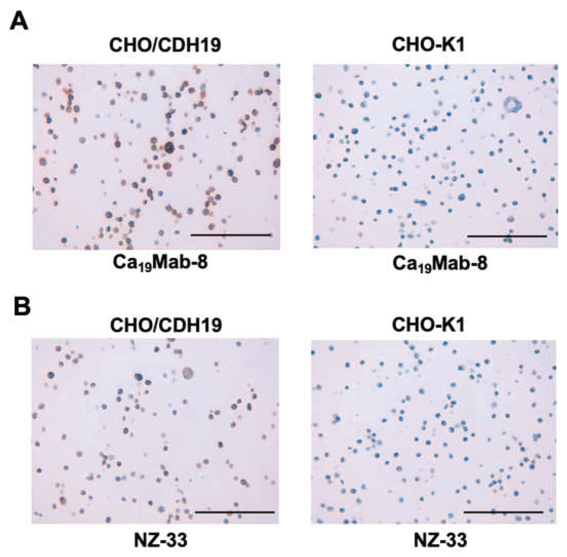 Preprints 199094 g005