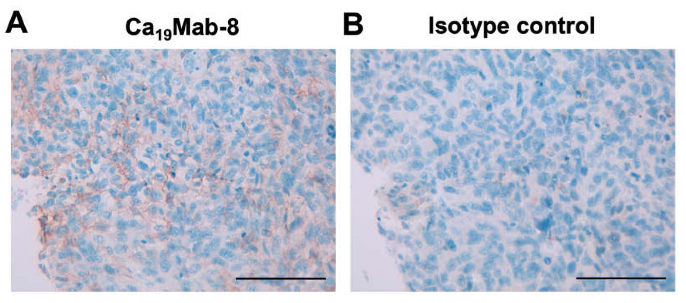Preprints 199094 g006