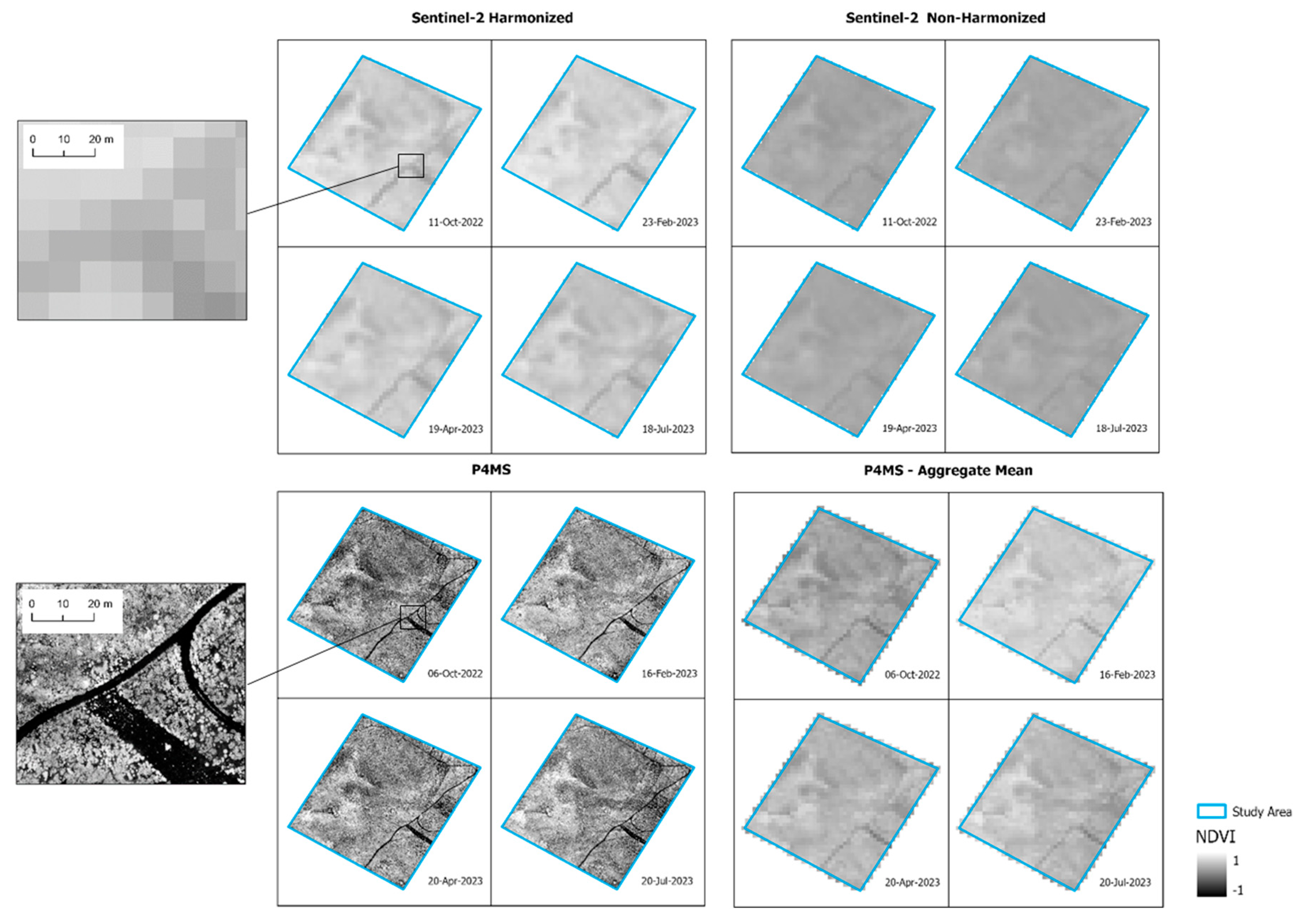 Preprints 193707 g006