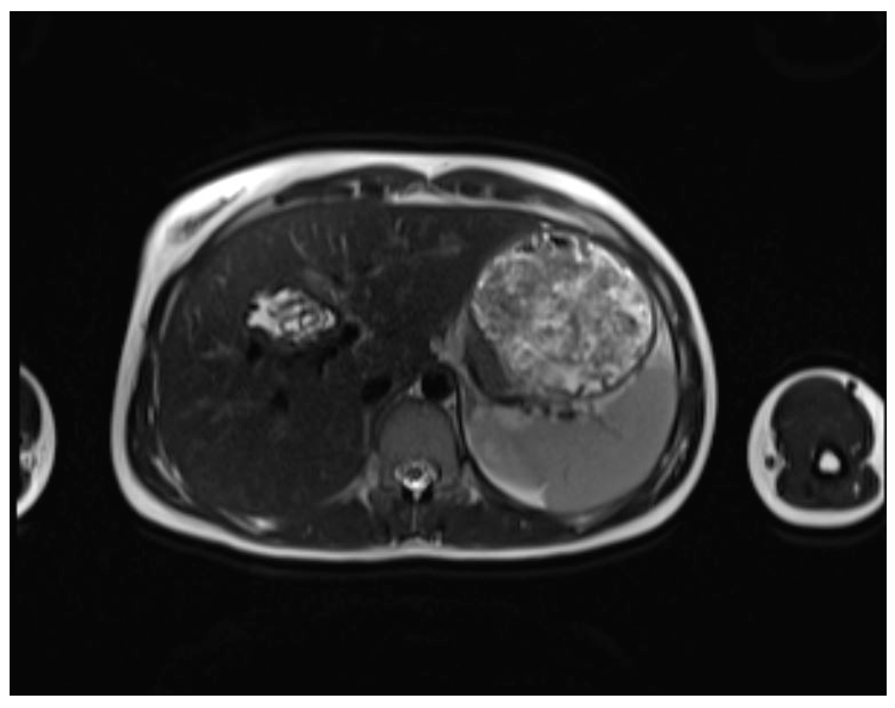 Preprints 151126 g002