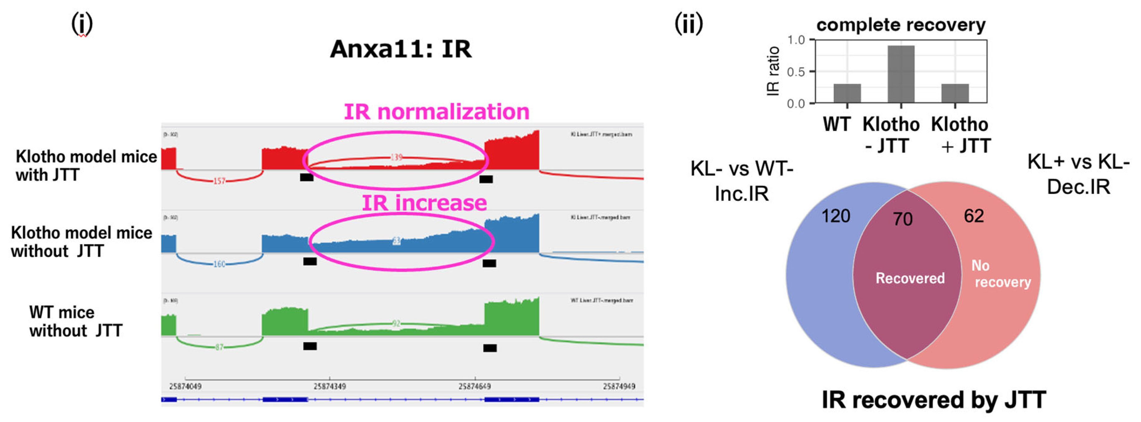 Preprints 200457 g001