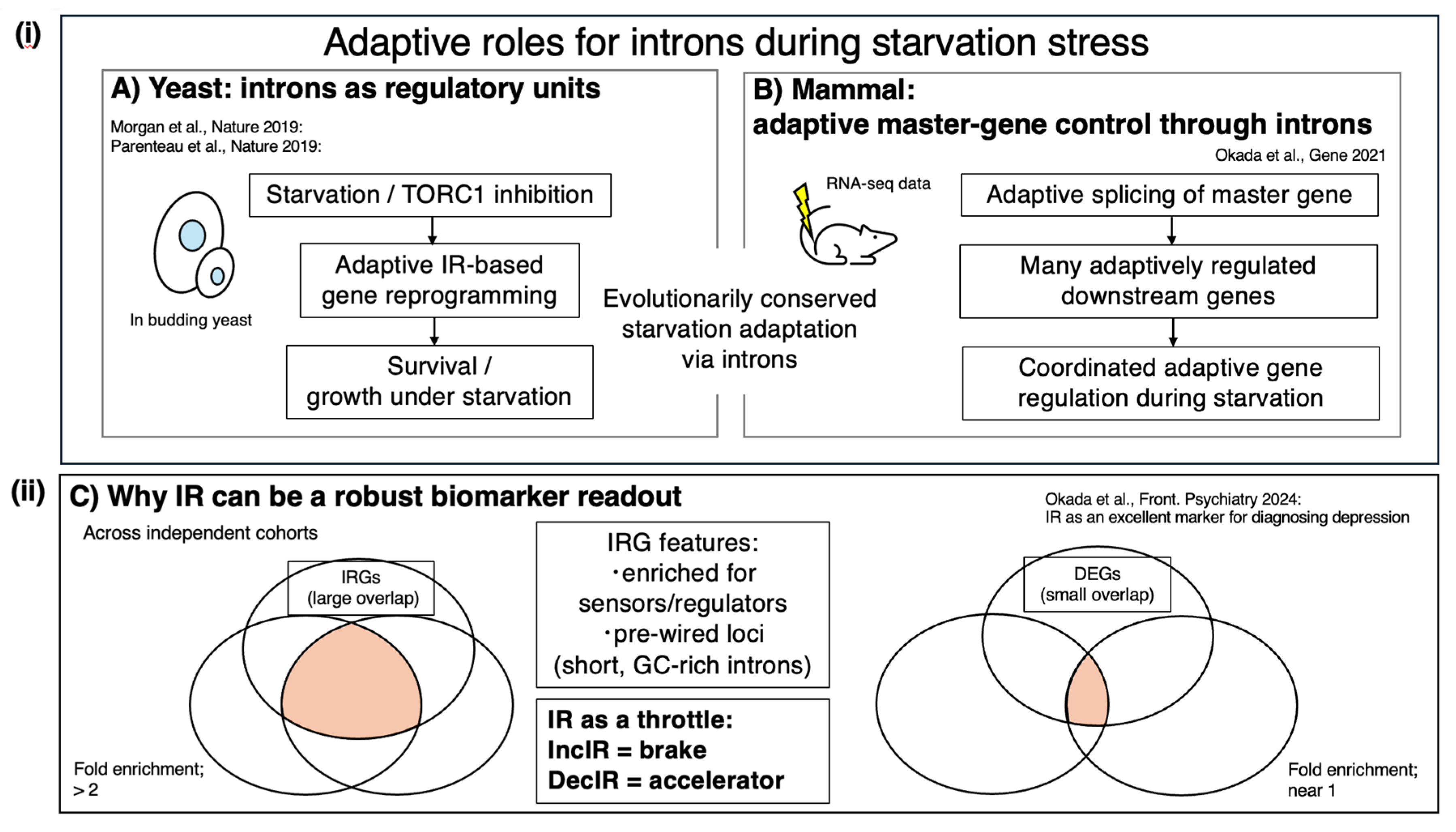 Preprints 200457 g002
