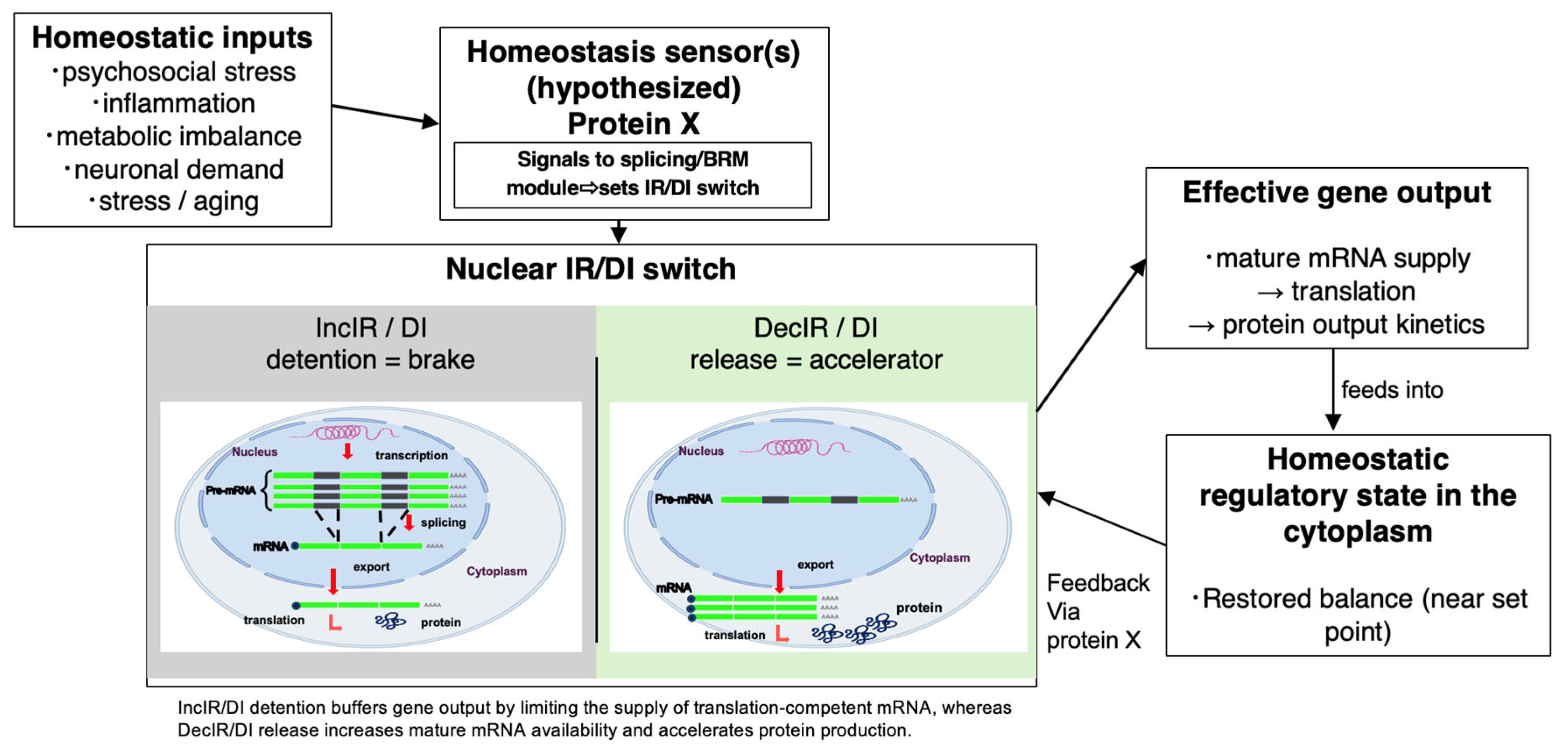 Preprints 200457 g003