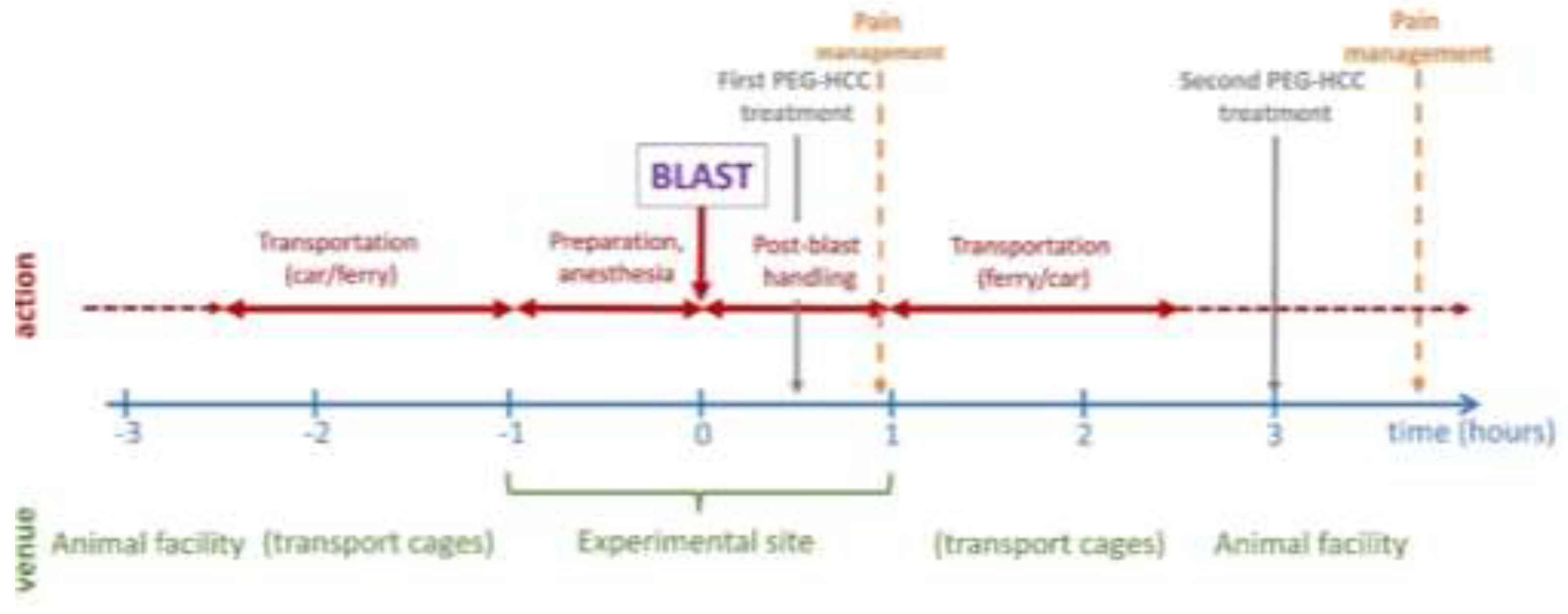 Preprints 141262 g001