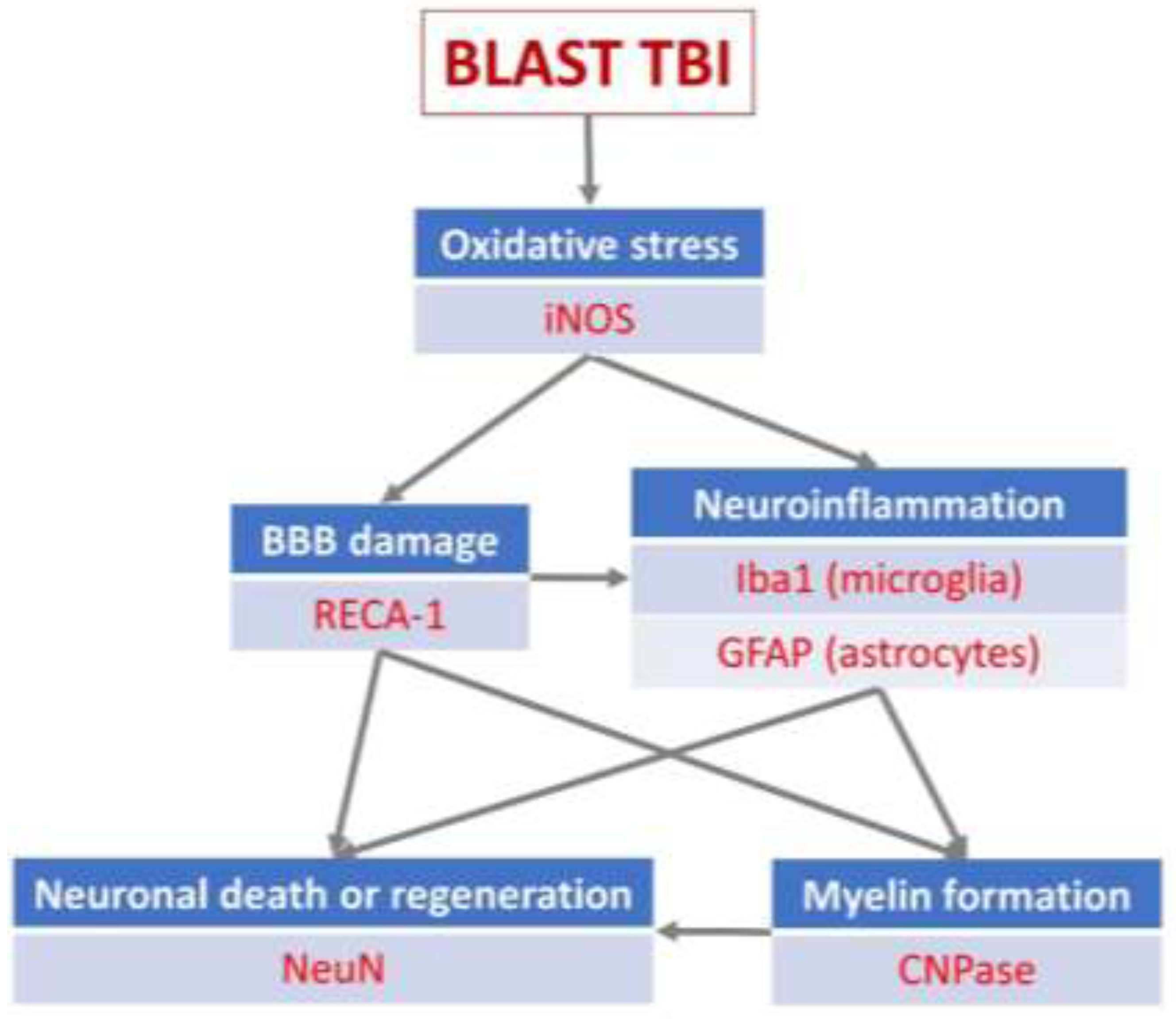 Preprints 141262 g002