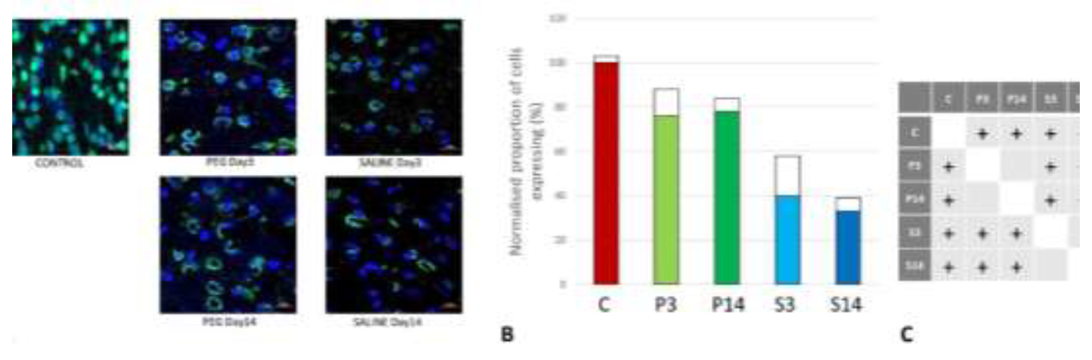 Preprints 141262 g003