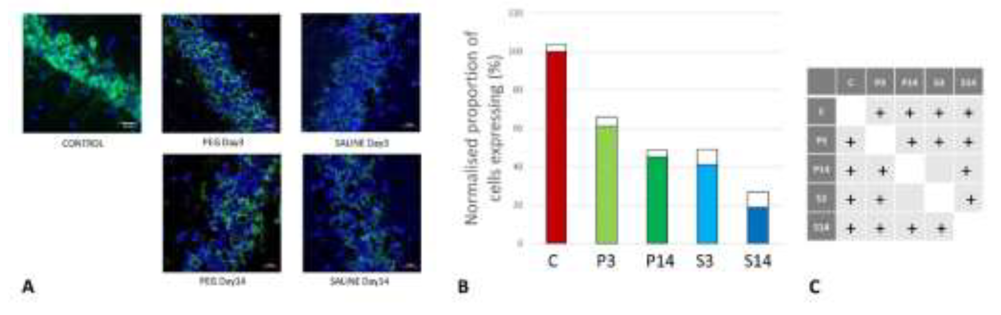 Preprints 141262 g005