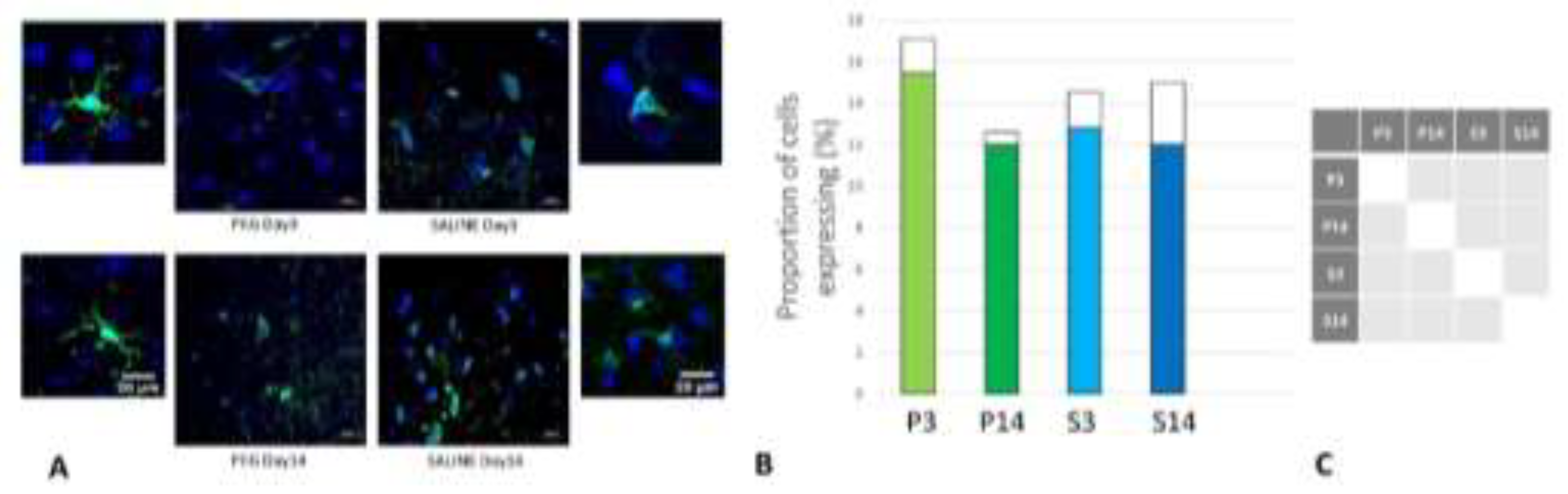 Preprints 141262 g007