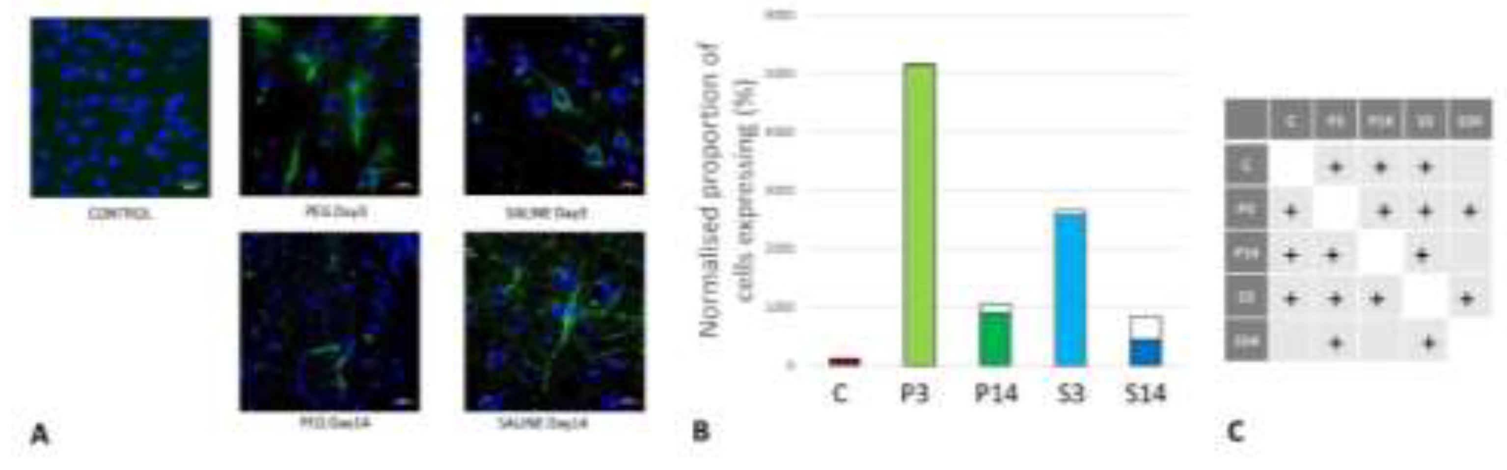 Preprints 141262 g009