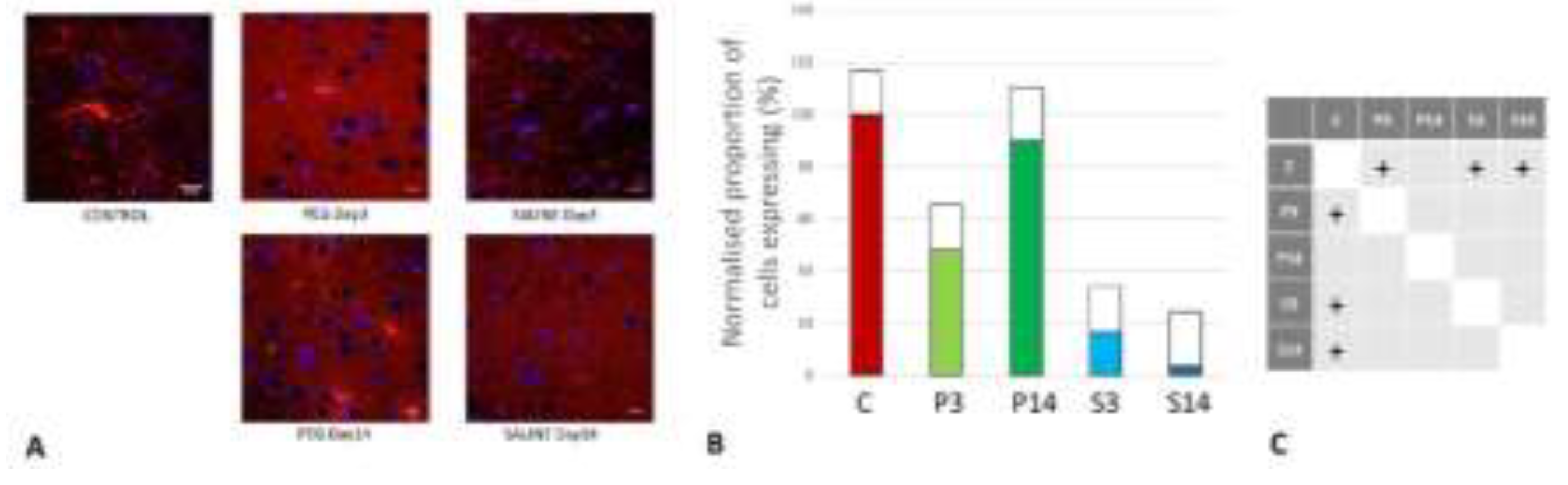 Preprints 141262 g010