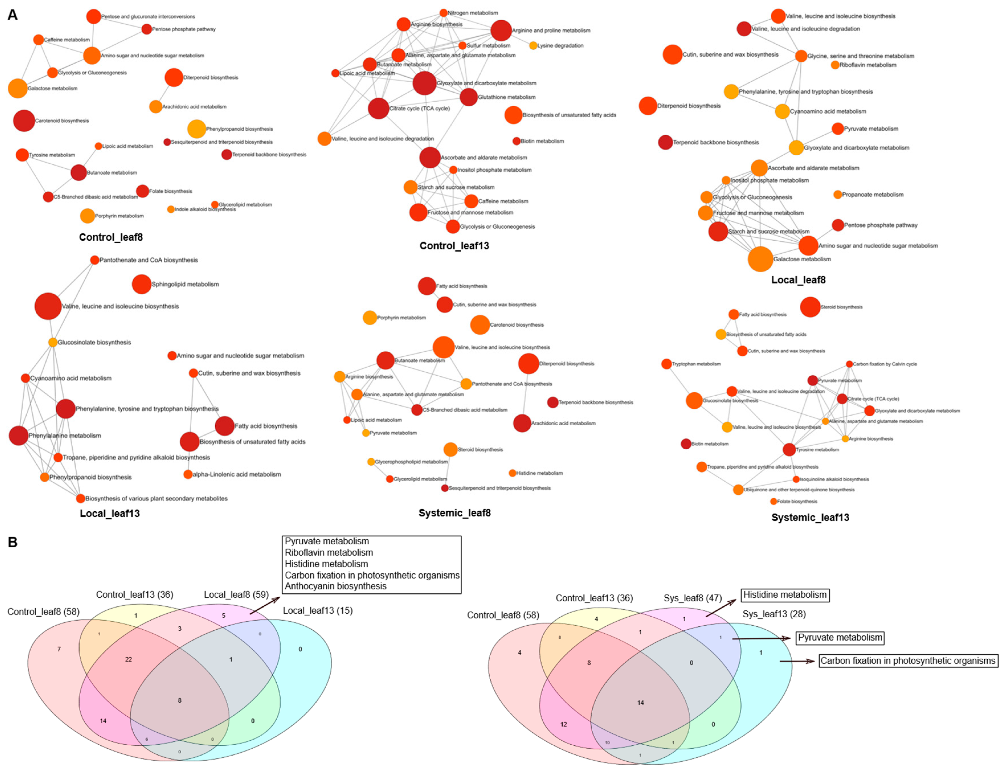 Preprints 185403 g006
