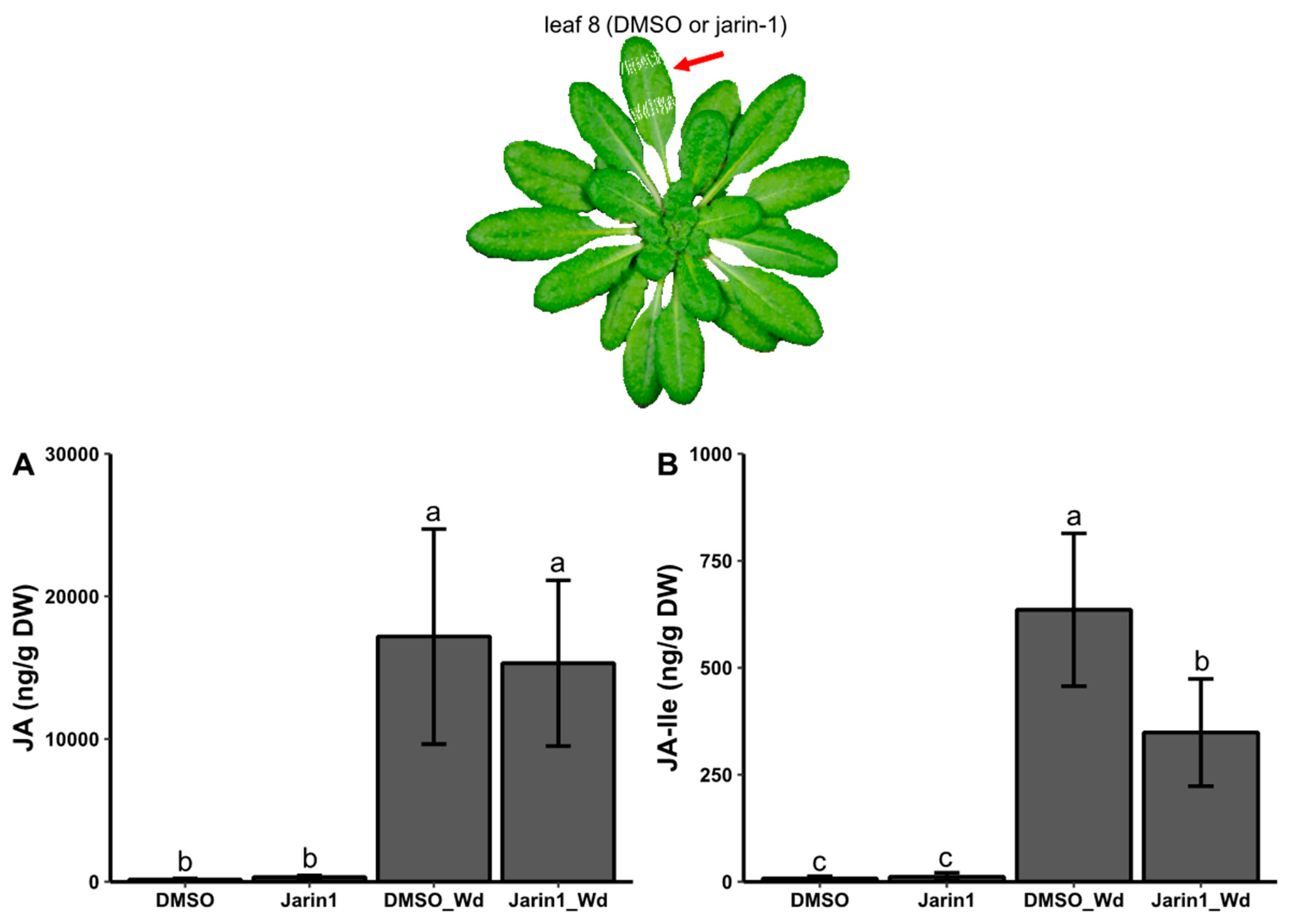 Preprints 185403 g007