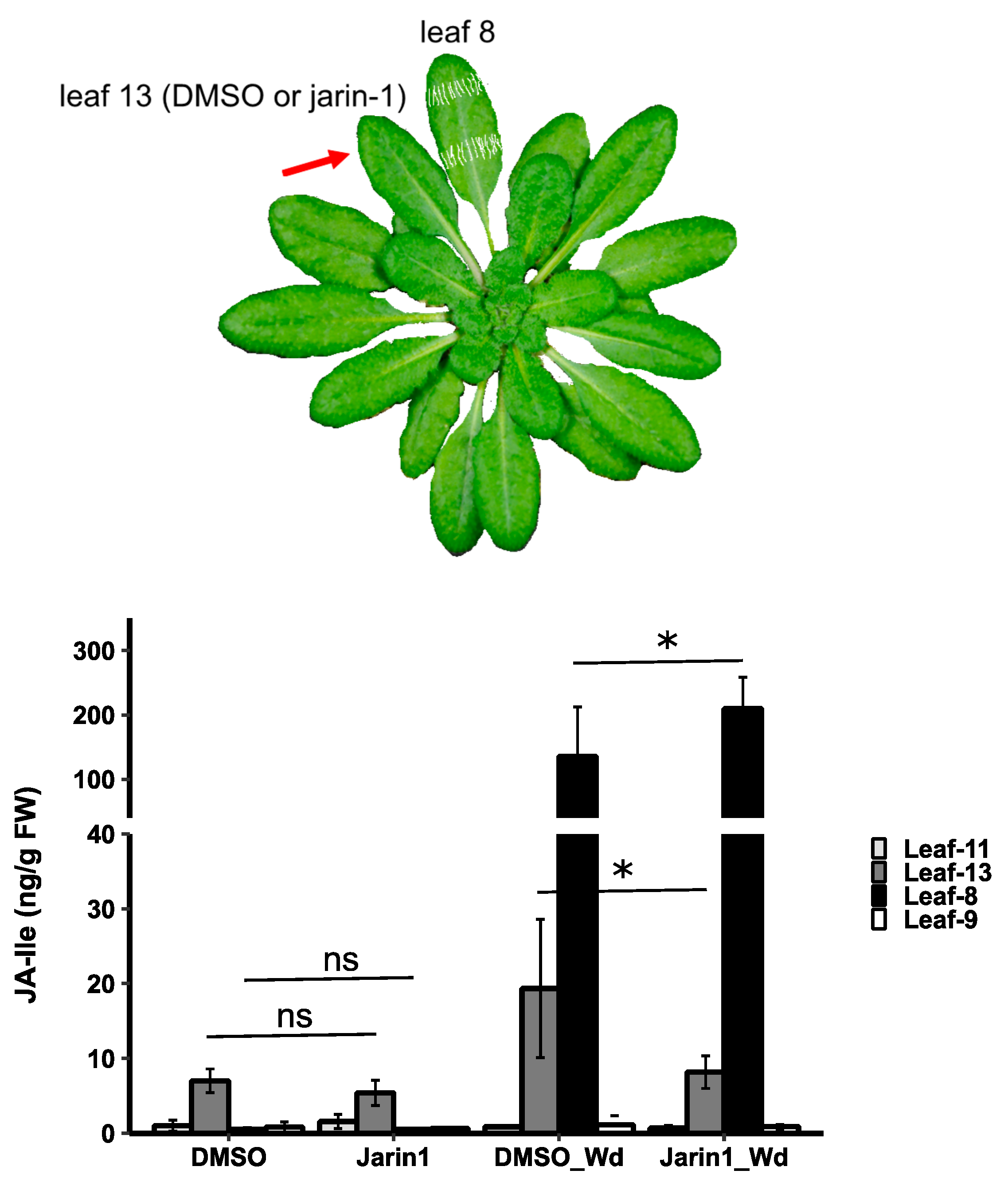 Preprints 185403 g008