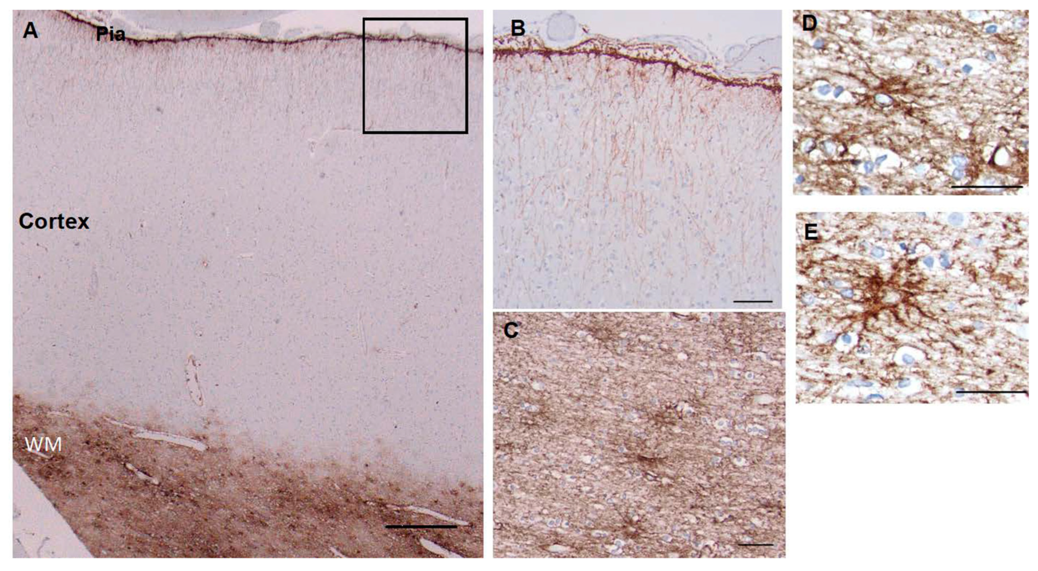 Preprints 69933 g001