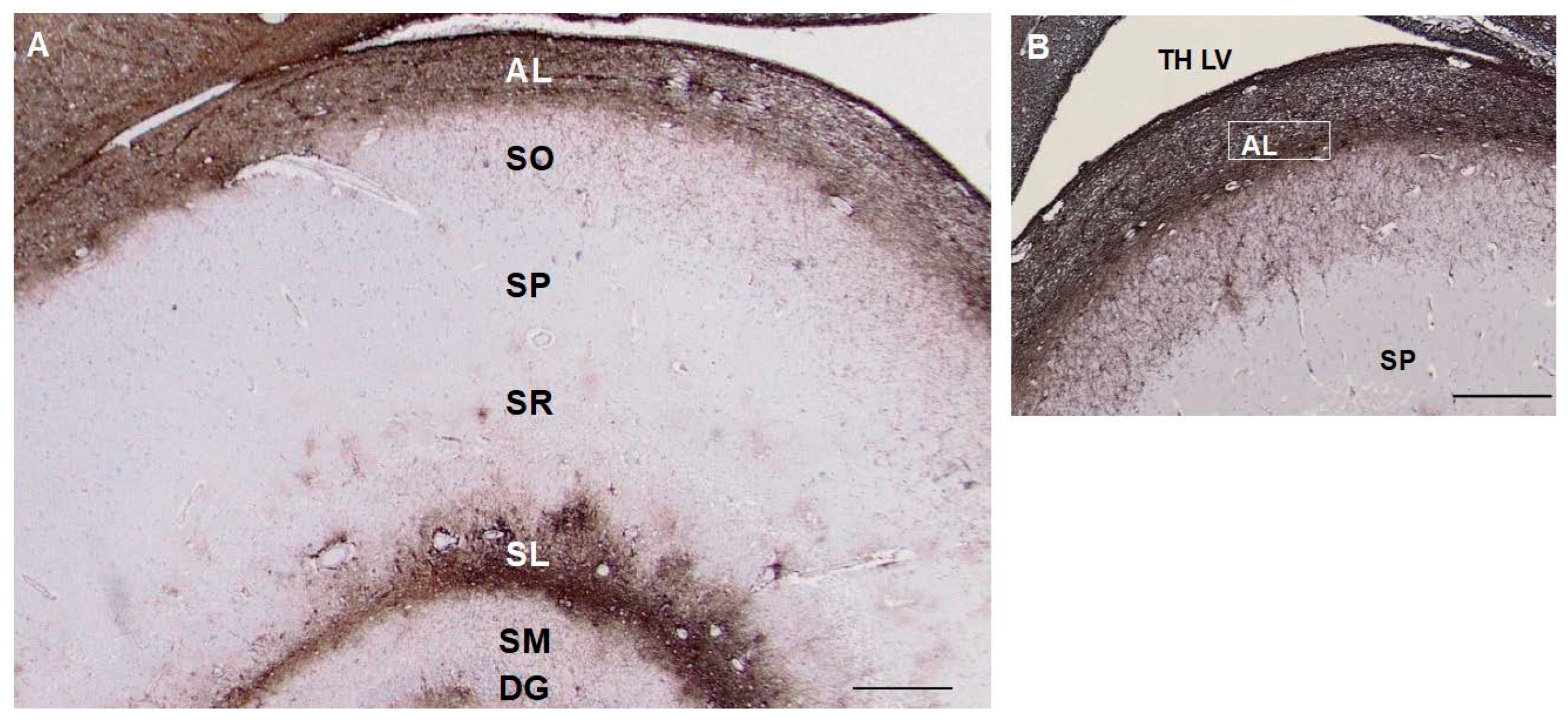 Preprints 69933 g004