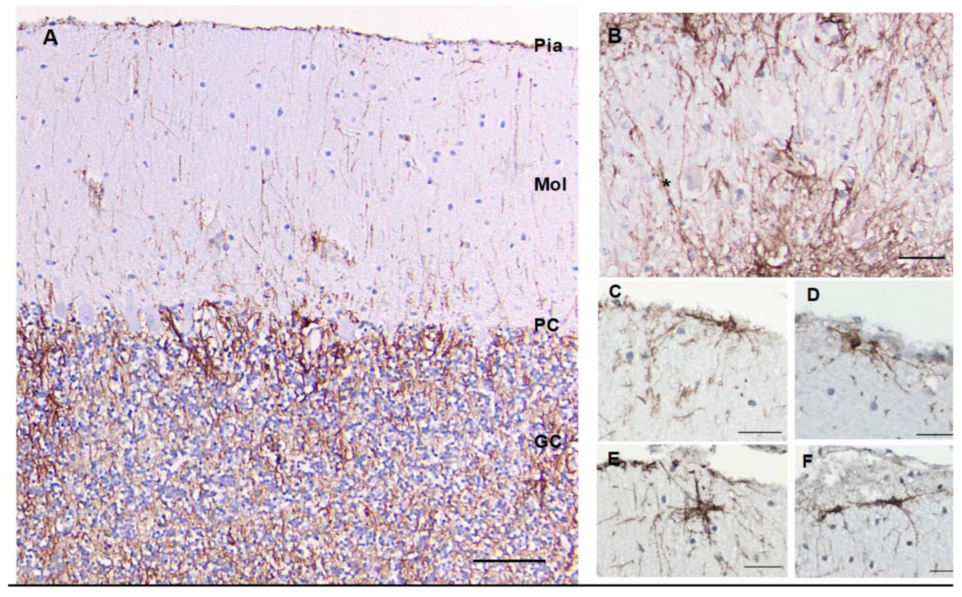 Preprints 69933 g005