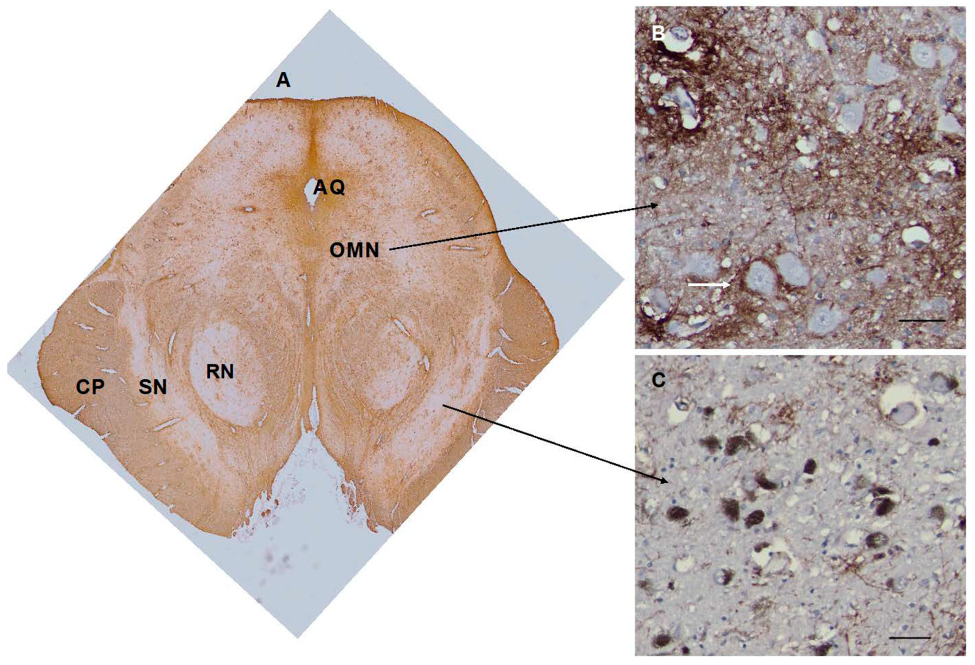 Preprints 69933 g006