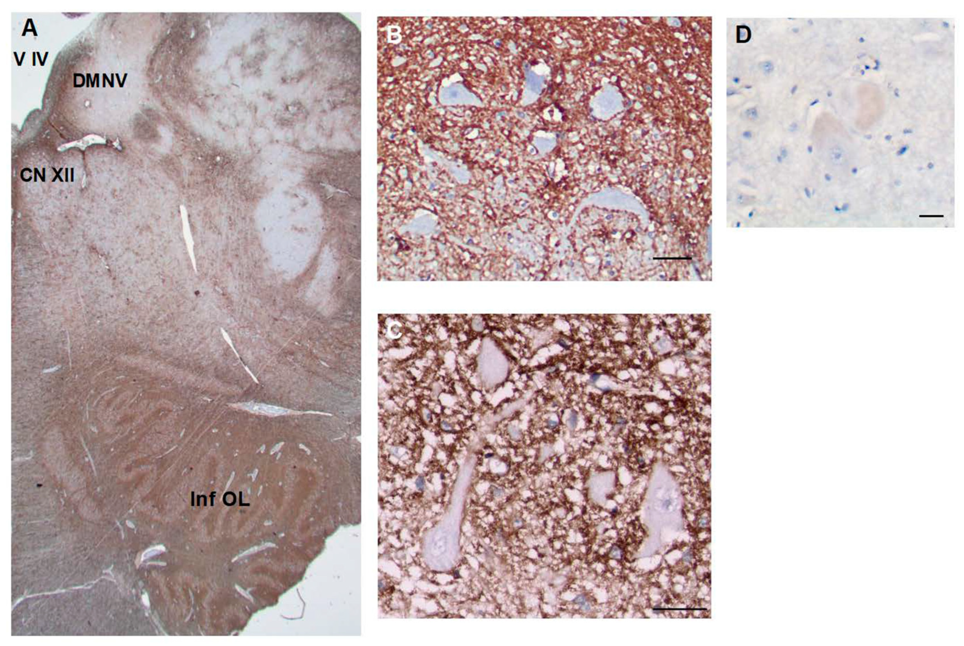 Preprints 69933 g007