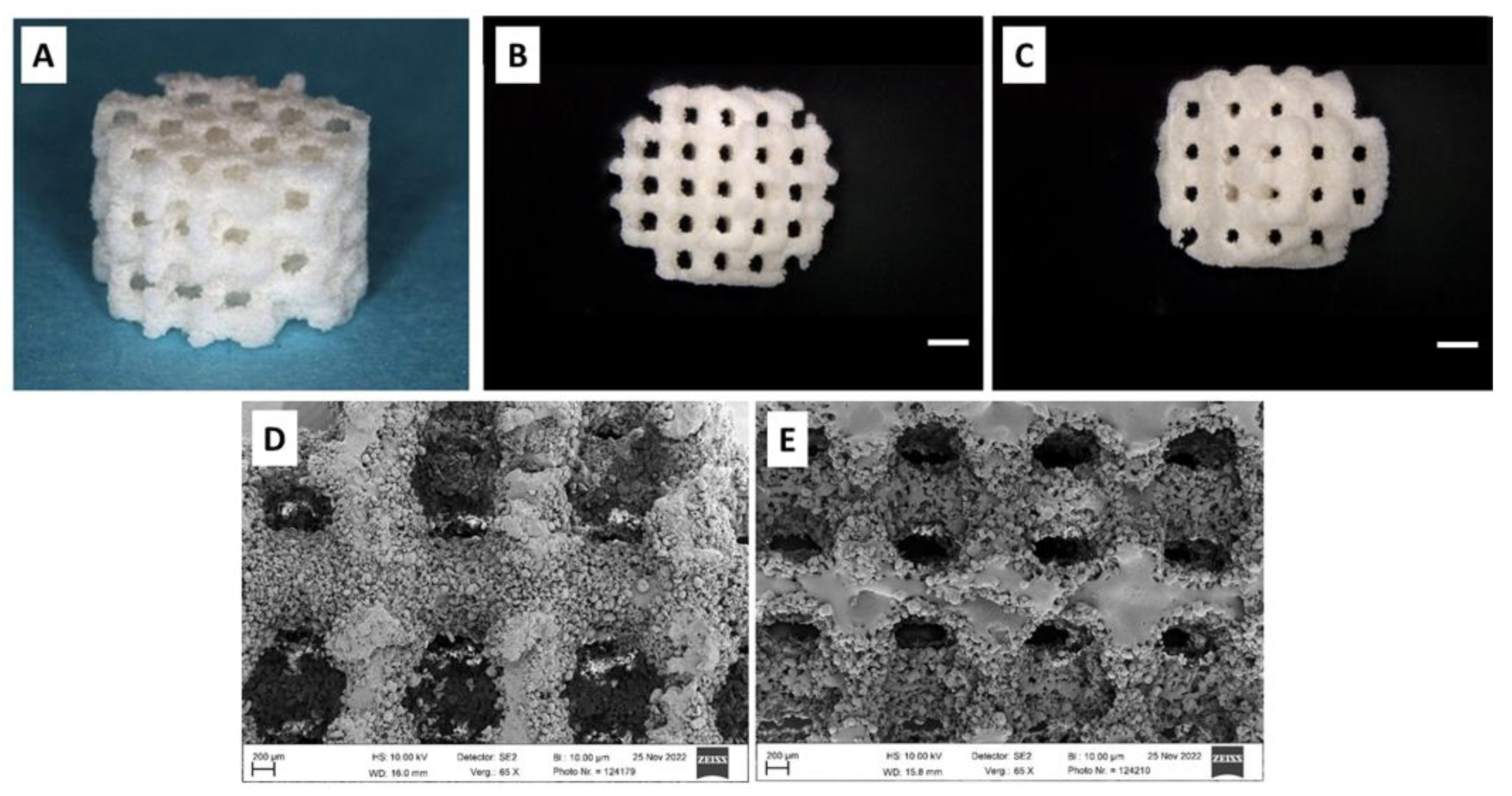 Preprints 169100 g001