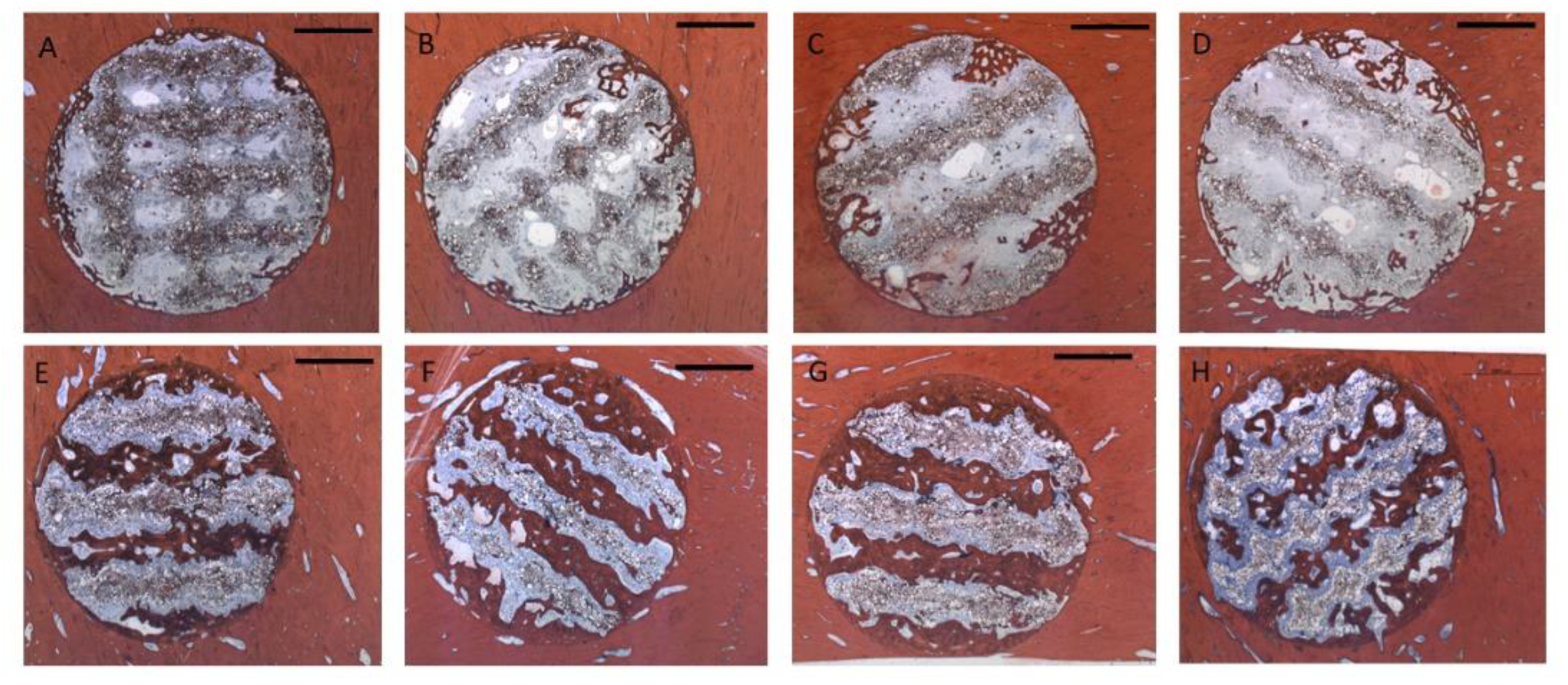 Preprints 169100 g005