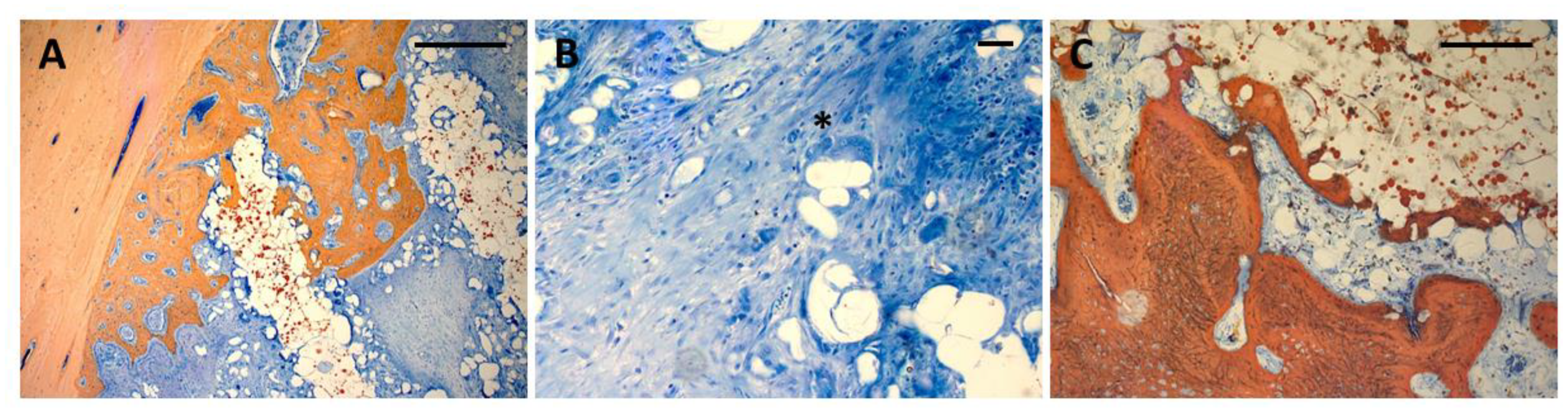 Preprints 169100 g006