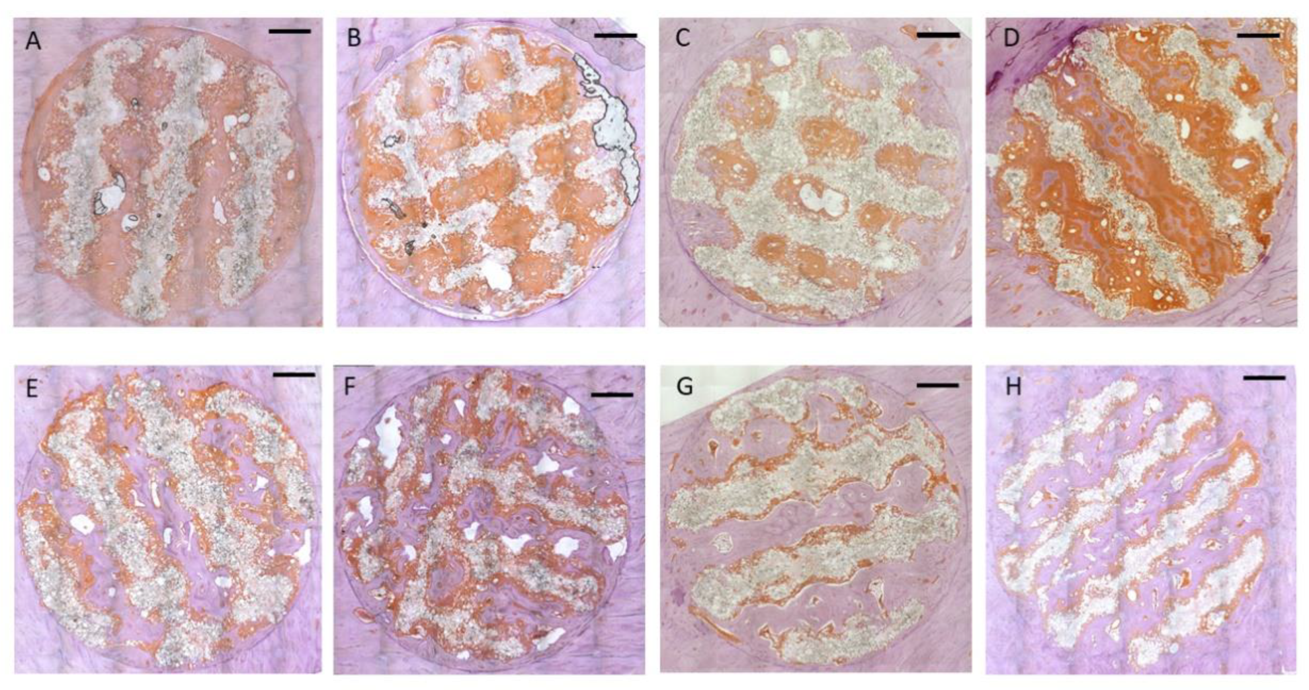 Preprints 169100 g007