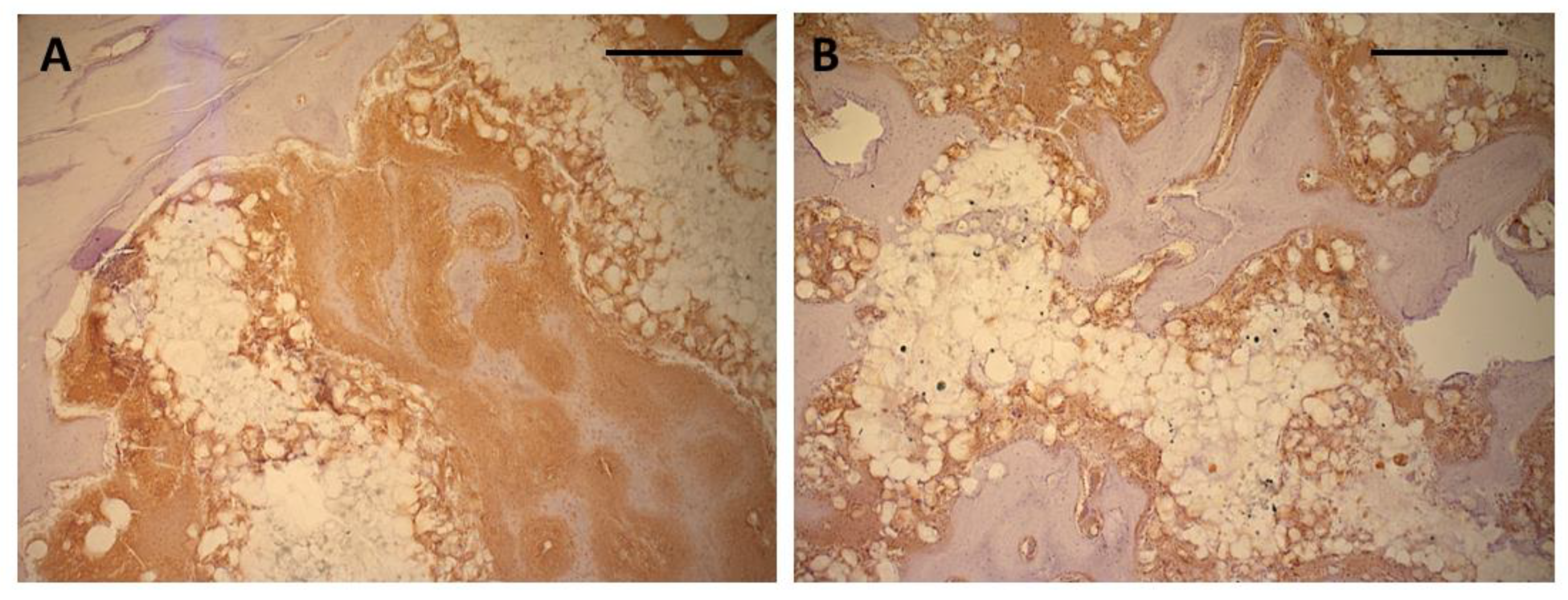 Preprints 169100 g008