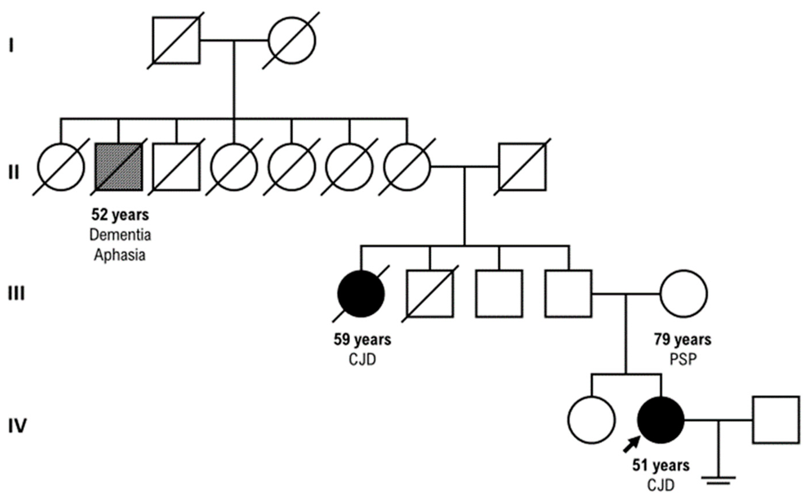 Preprints 94065 g003