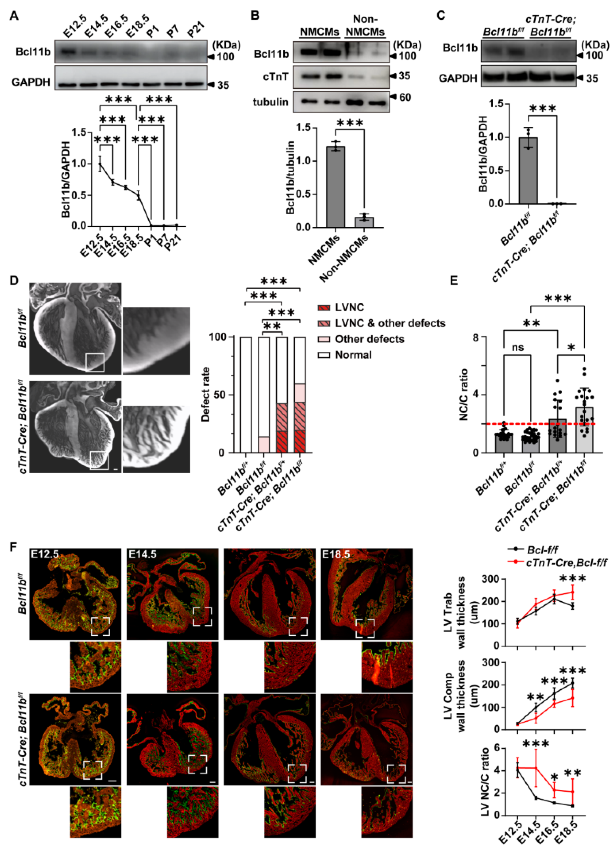 Preprints 218130 g001 Preprints 218130 g001