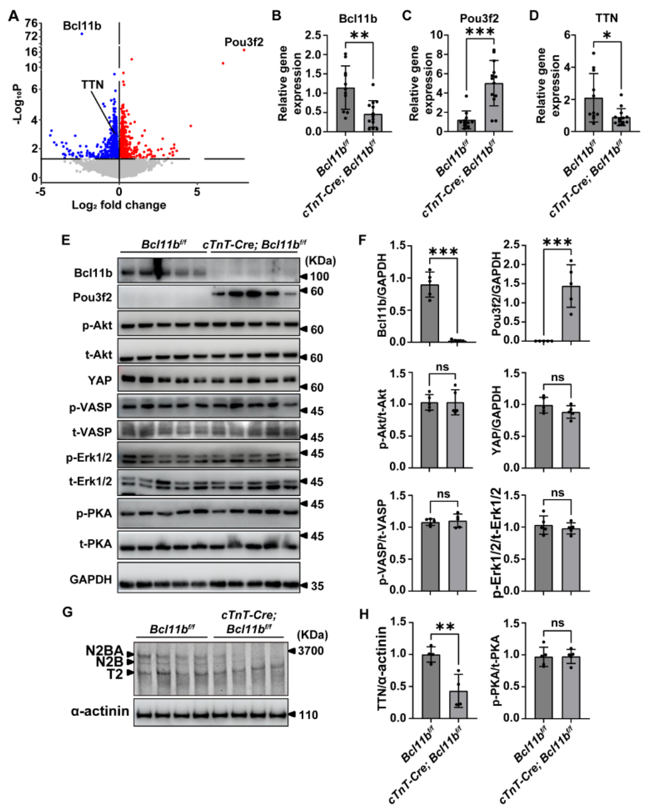 Preprints 218130 g003 Preprints 218130 g003