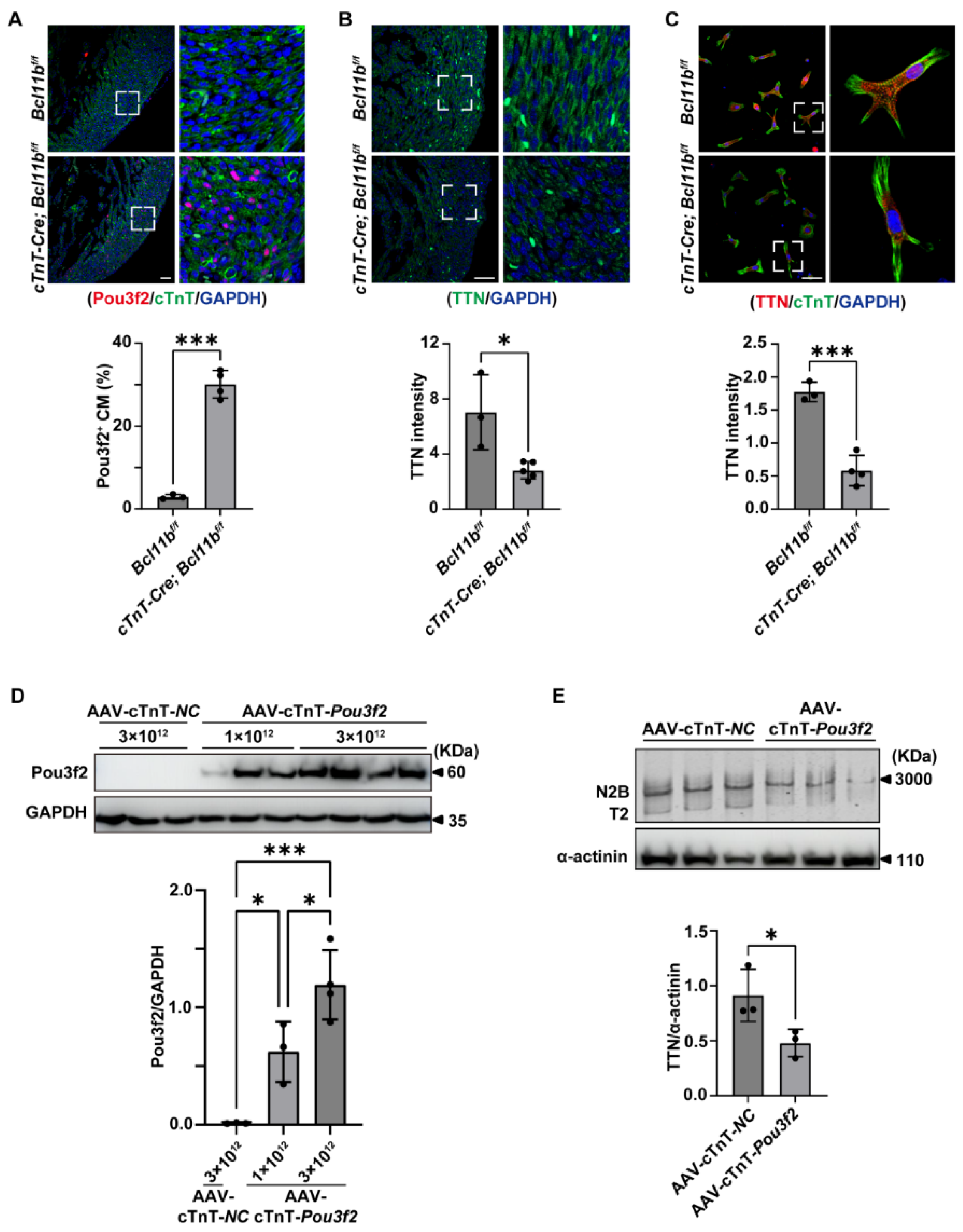 Preprints 218130 g004 Preprints 218130 g004