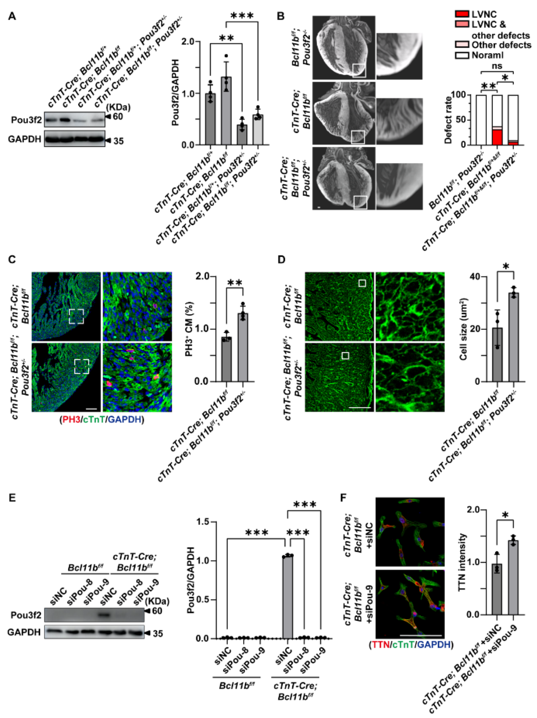 Preprints 218130 g005 Preprints 218130 g005