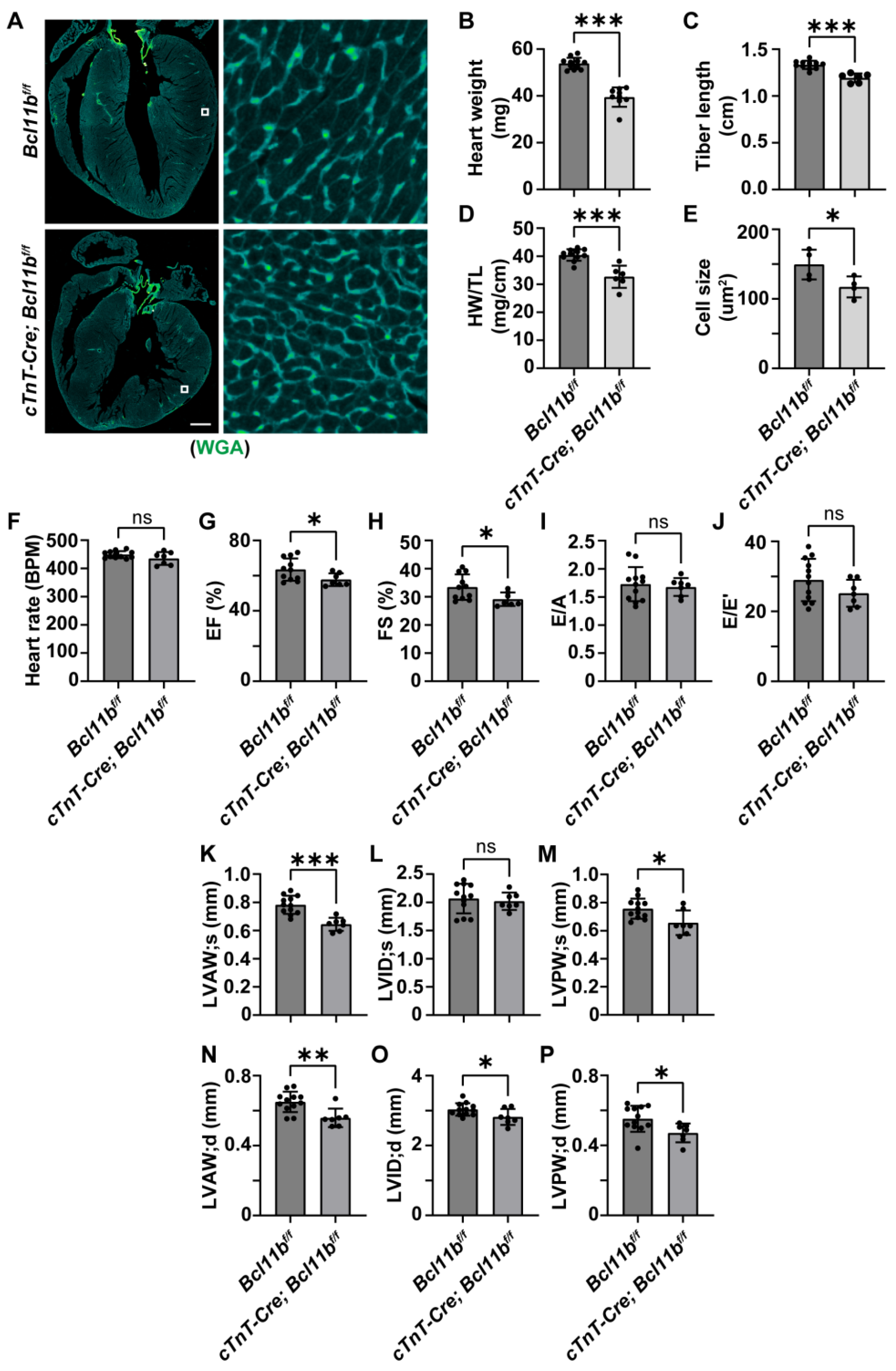 Preprints 218130 g0a2 Preprints 218130 g0a2