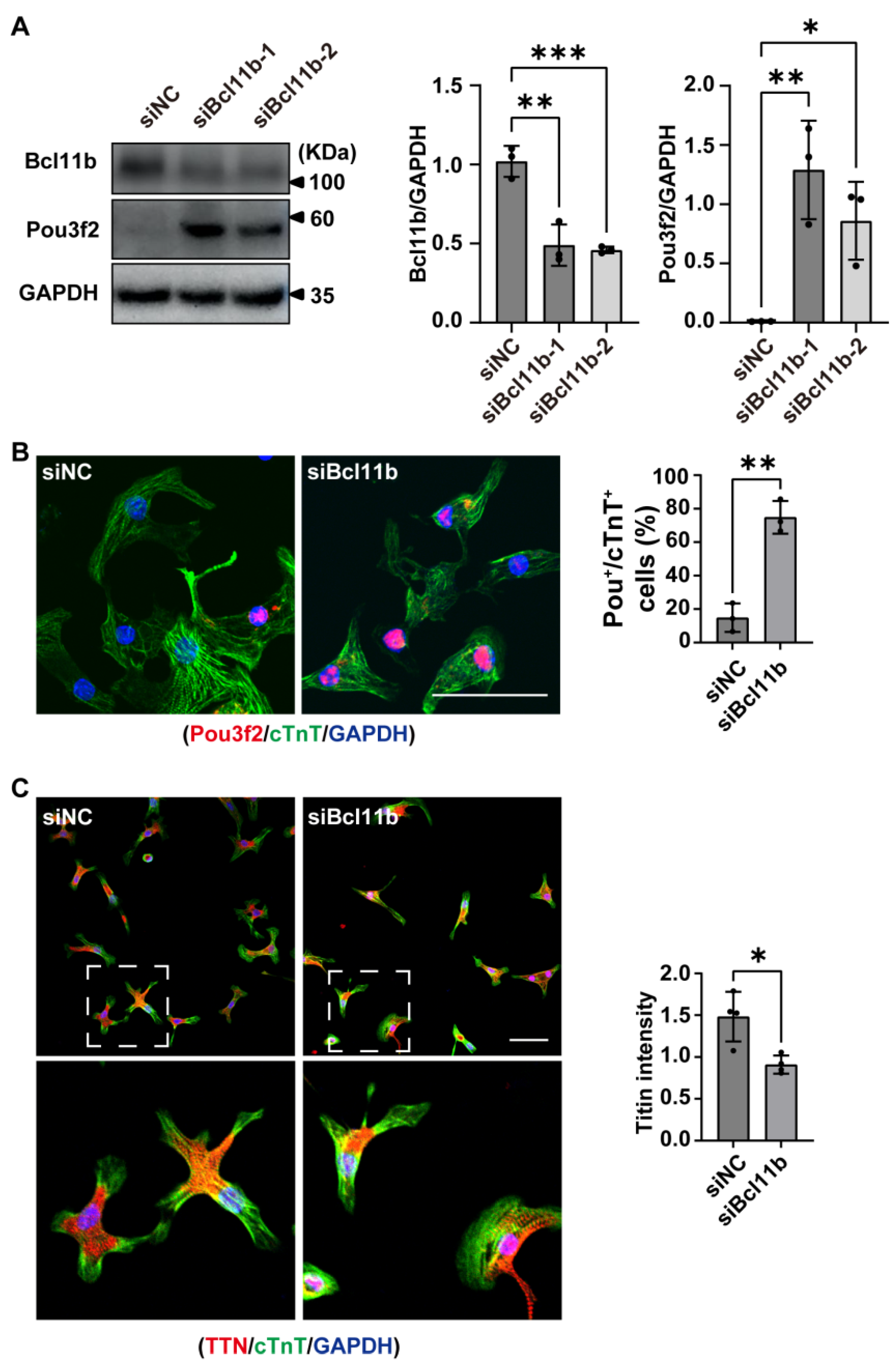 Preprints 218130 g0a3 Preprints 218130 g0a3