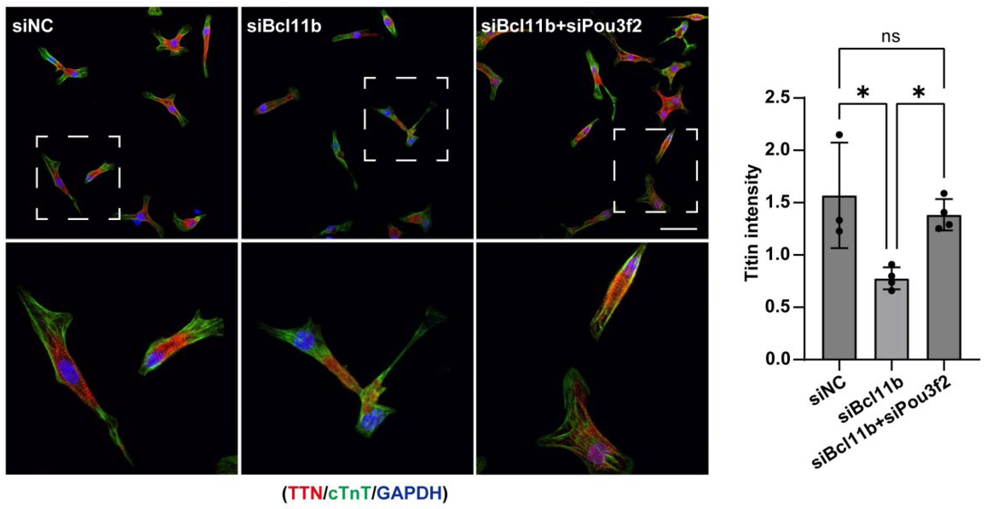 Preprints 218130 g0a4 Preprints 218130 g0a4