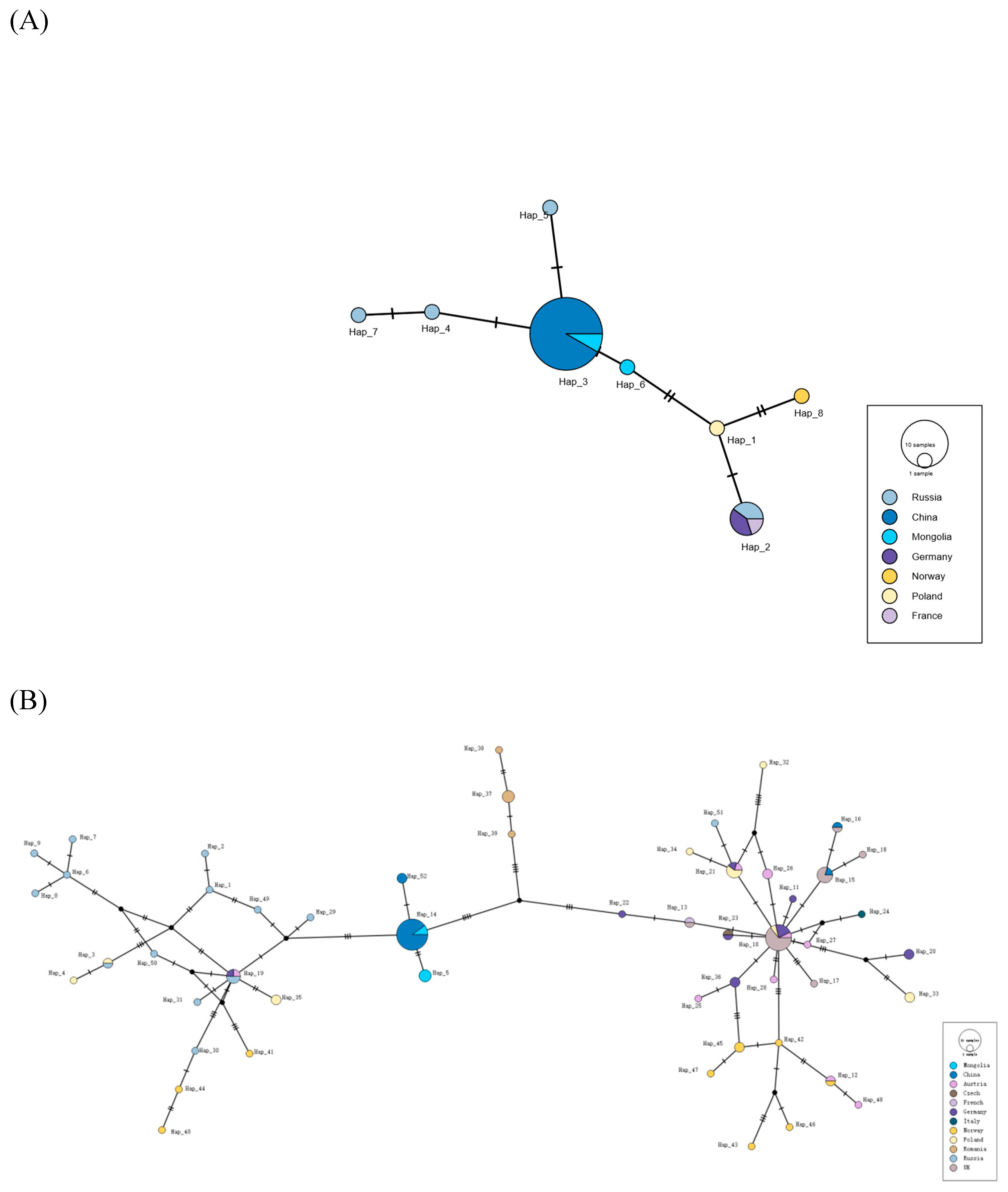 Preprints 162866 g001