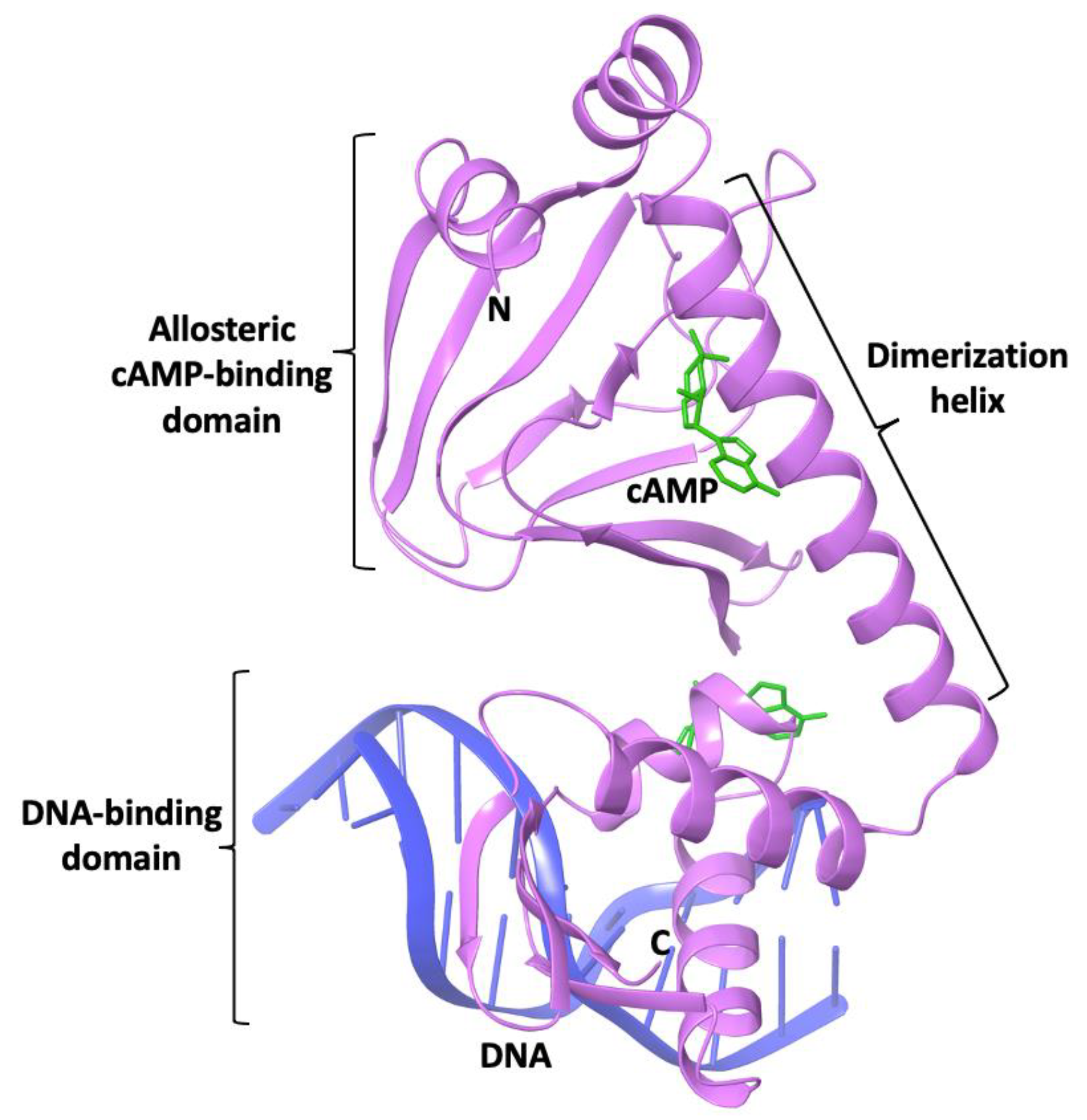 Preprints 190401 g001