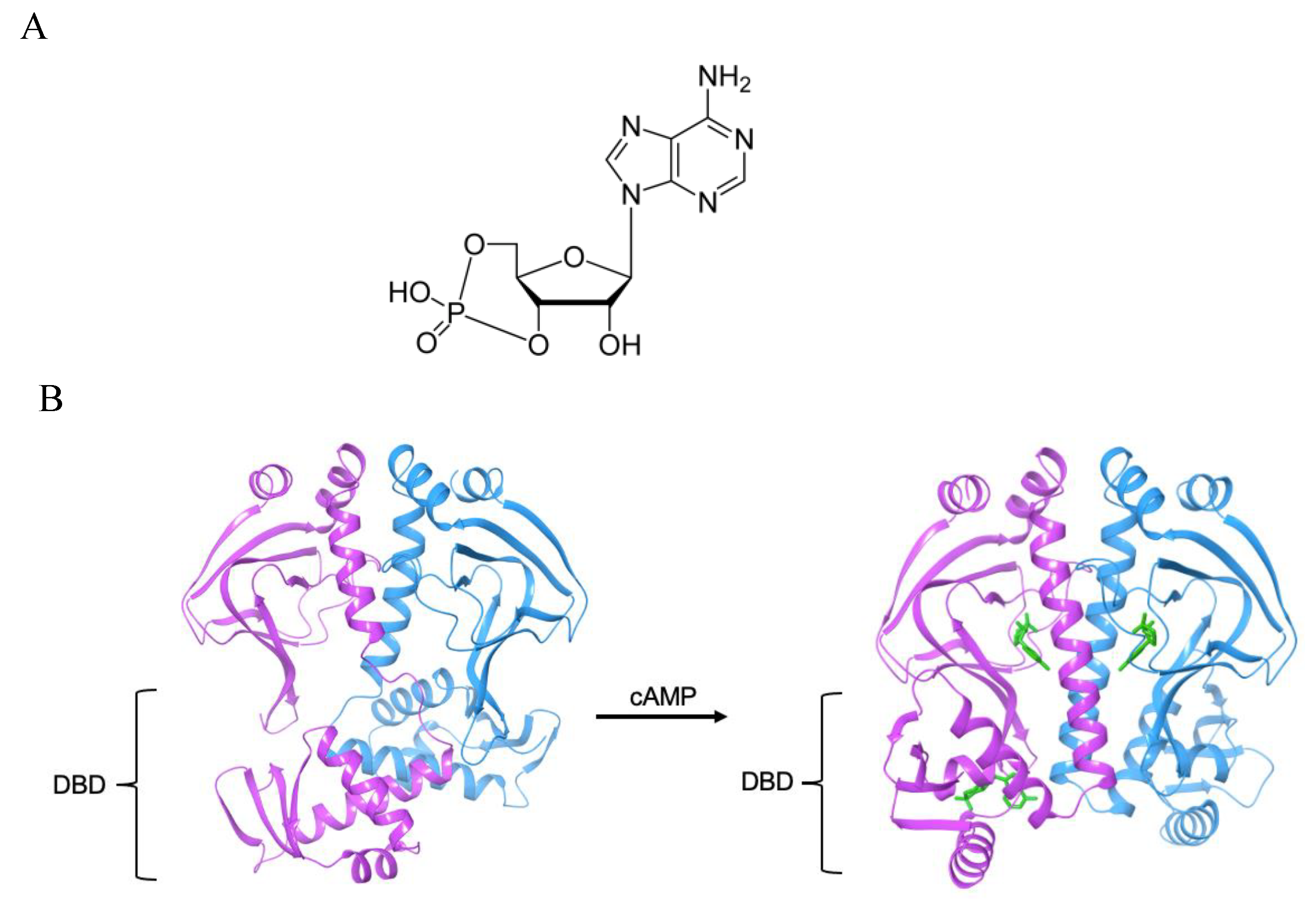 Preprints 190401 g002
